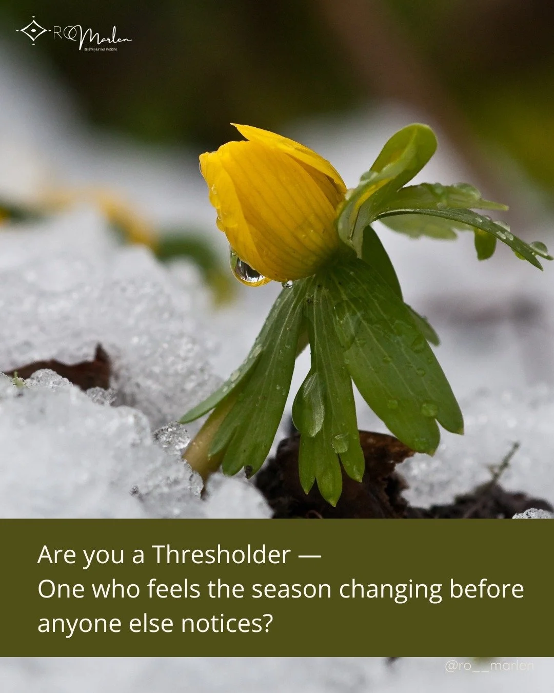 There are certain people who are more likely to suffer from &ldquo;modern life&rdquo; than others.

Highly sensitive people who feel the shifts in the collective in their bodies first.

People more likely to carry exhaustion, chronic pain, mystery sy