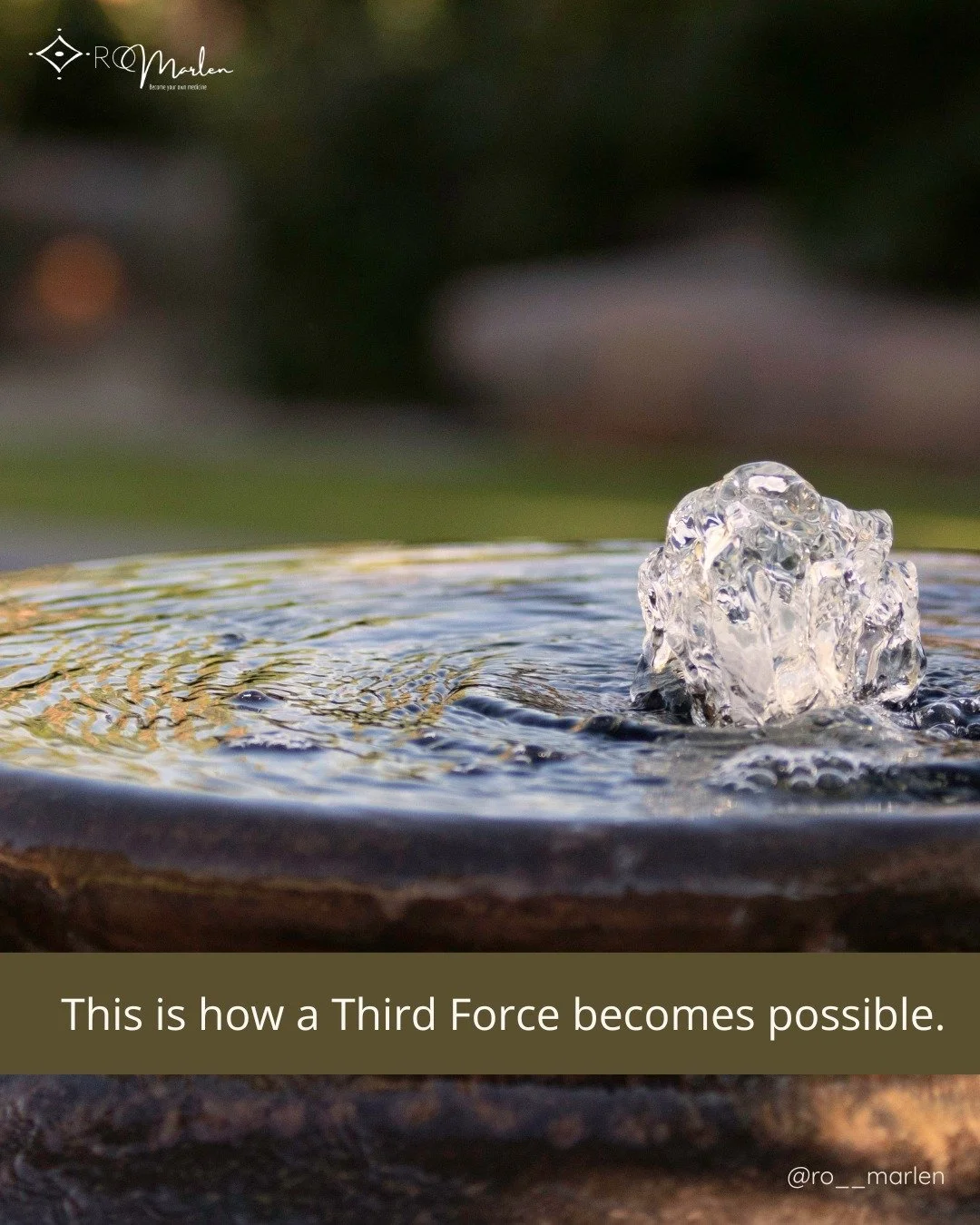 Under this Pisces New Moon, whatever we have not yet learned to hold becomes amplified.

Pisces dissolves boundaries.

At the same time, spring&rsquo;s rising Wood energy carries the instinct to protect and to move forward.

When rising force meets s