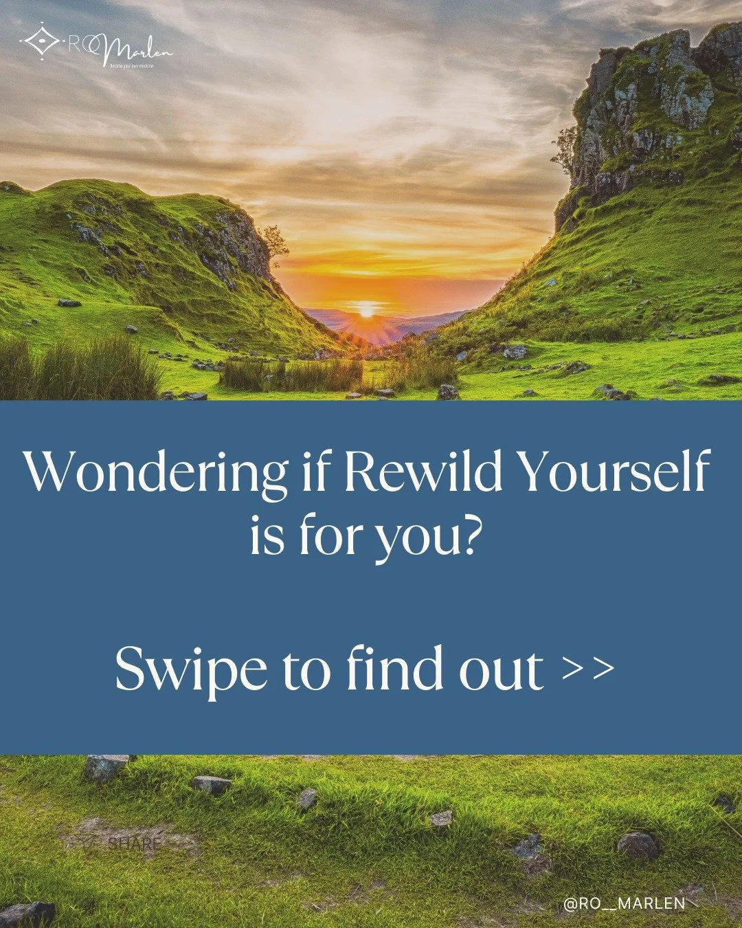 Wondering if Rewild Yourself is for you? 
Swipe to find out.
