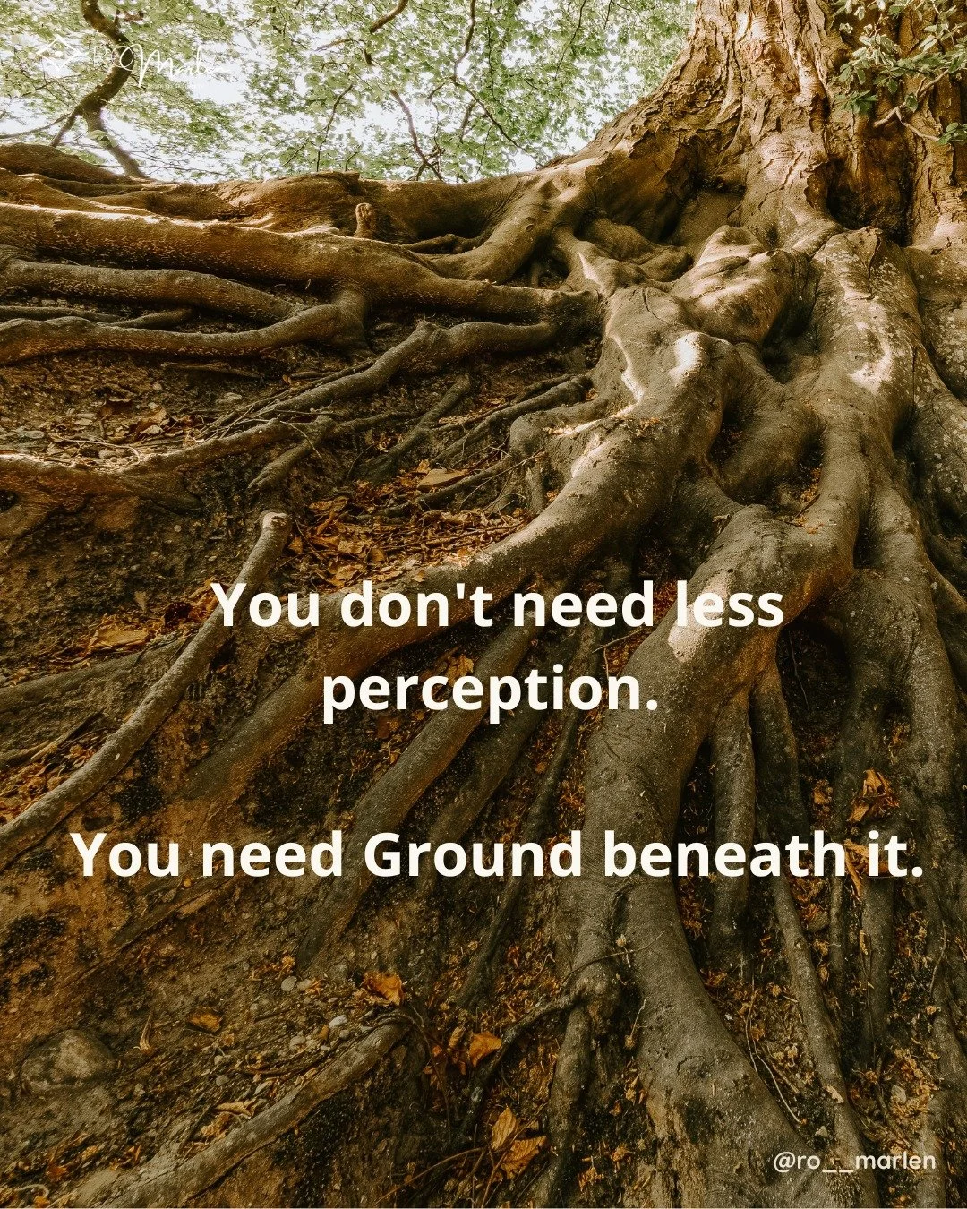 Spiritual sensitivity without Ground leads to exhaustion that no sleep fully restores. To not knowing where you end and the world begins. To an awareness so wide it becomes isolating.

This is not a character flaw. It is an ecological truth.

An oak 