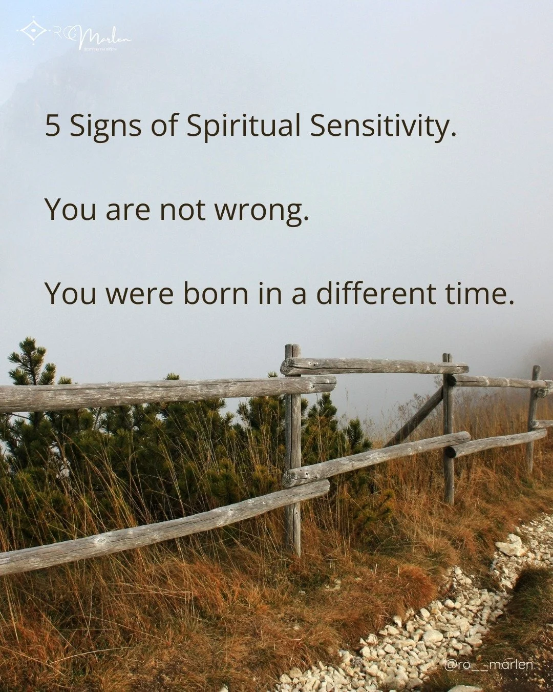 I just wrote a new article for spiritually sensitive people, and if you're here, I suspect it will land.

There are 5 signs of spiritual sensitivity I write about in depth.

Sign #1: Intense Perception: You feel the room before you can actually read 