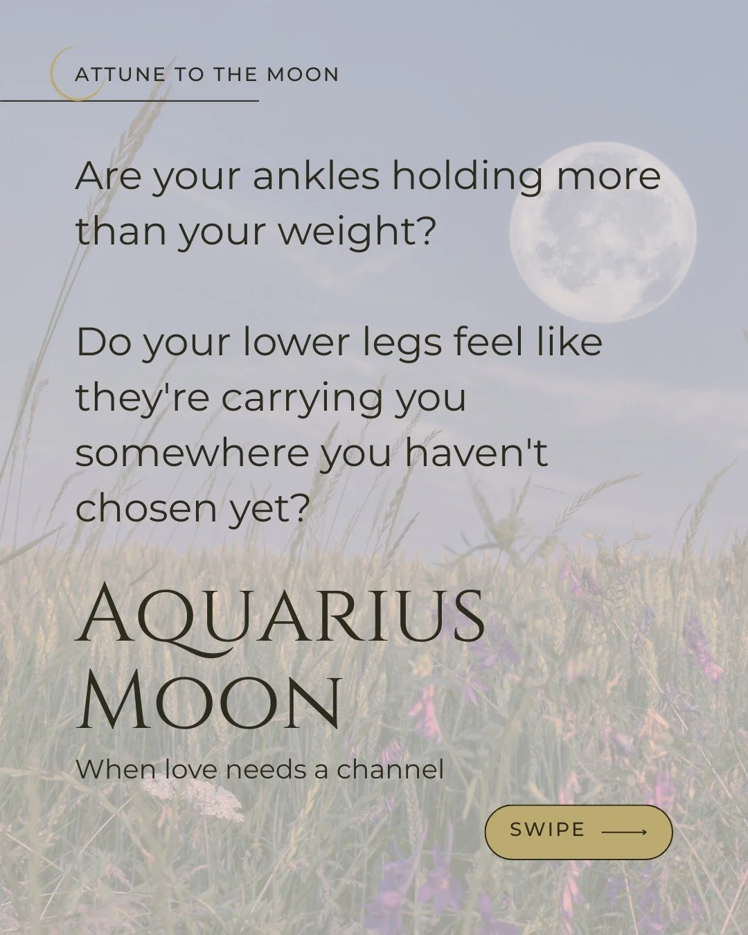 The moon moves into Aquarius, and your lower legs and ankles ask for attention &mdash; the vessels that keep you upright, carry you forward, and connect Ground to movement.

Your ankles are where what you love finds its direction downward. From visio