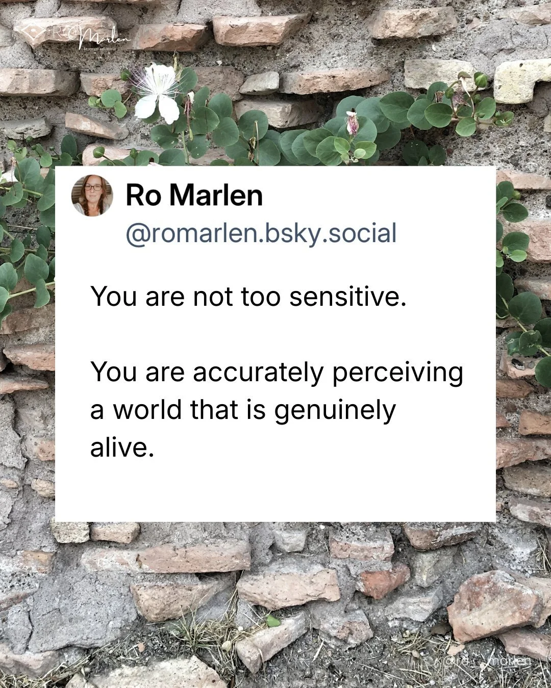 You are not too sensitive. You are accurately perceiving a world that is genuinely alive, living inside a culture that has declared that aliveness inadmissible.

The exhaustion so many spiritually attuned people carry isn't a symptom of being too muc