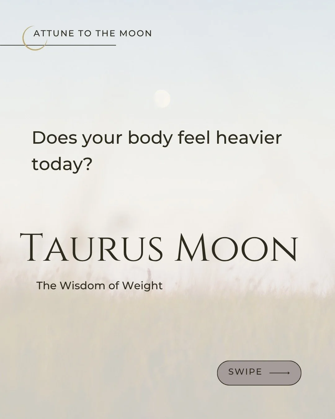 The moon moves into Taurus, and something in you wants to stop.

Not because you've given up. Because your body is wiser than the pace the world keeps asking for.

Your shoulders carry it. Your jaw holds it. Your throat knows what hasn't been said ye