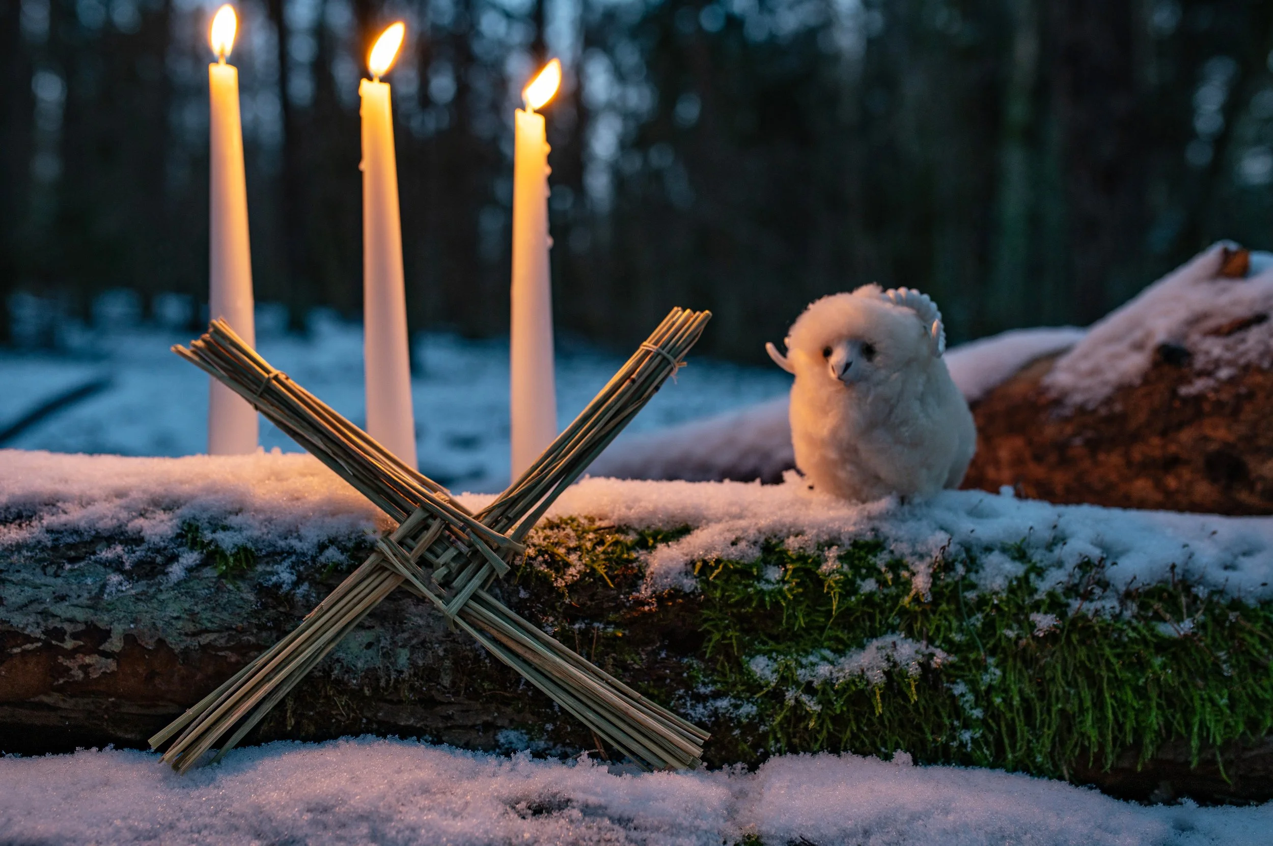 The Meaning of Imbolc and the First Stirring of Spring
