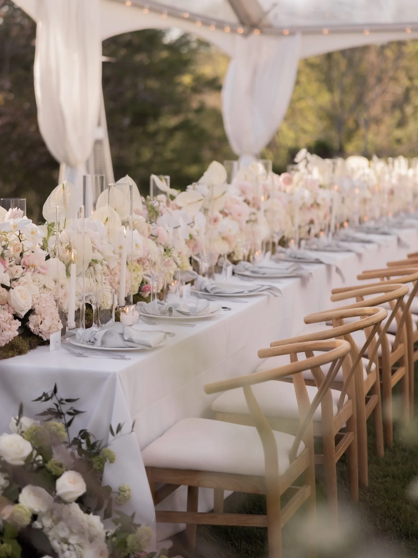 A PERFECT, INTIMATE SUMMER Wedding in The Hamptons
.
.
.
Planning @bjornvwevents 
Florals @andrewpascoeflowers 
Photography @michellejacksonnyc 
Rentals @elitepbstentsevents 
Music &amp; Entertainment @dwplivefactory 
.
.
#weddings #florals #thehampt