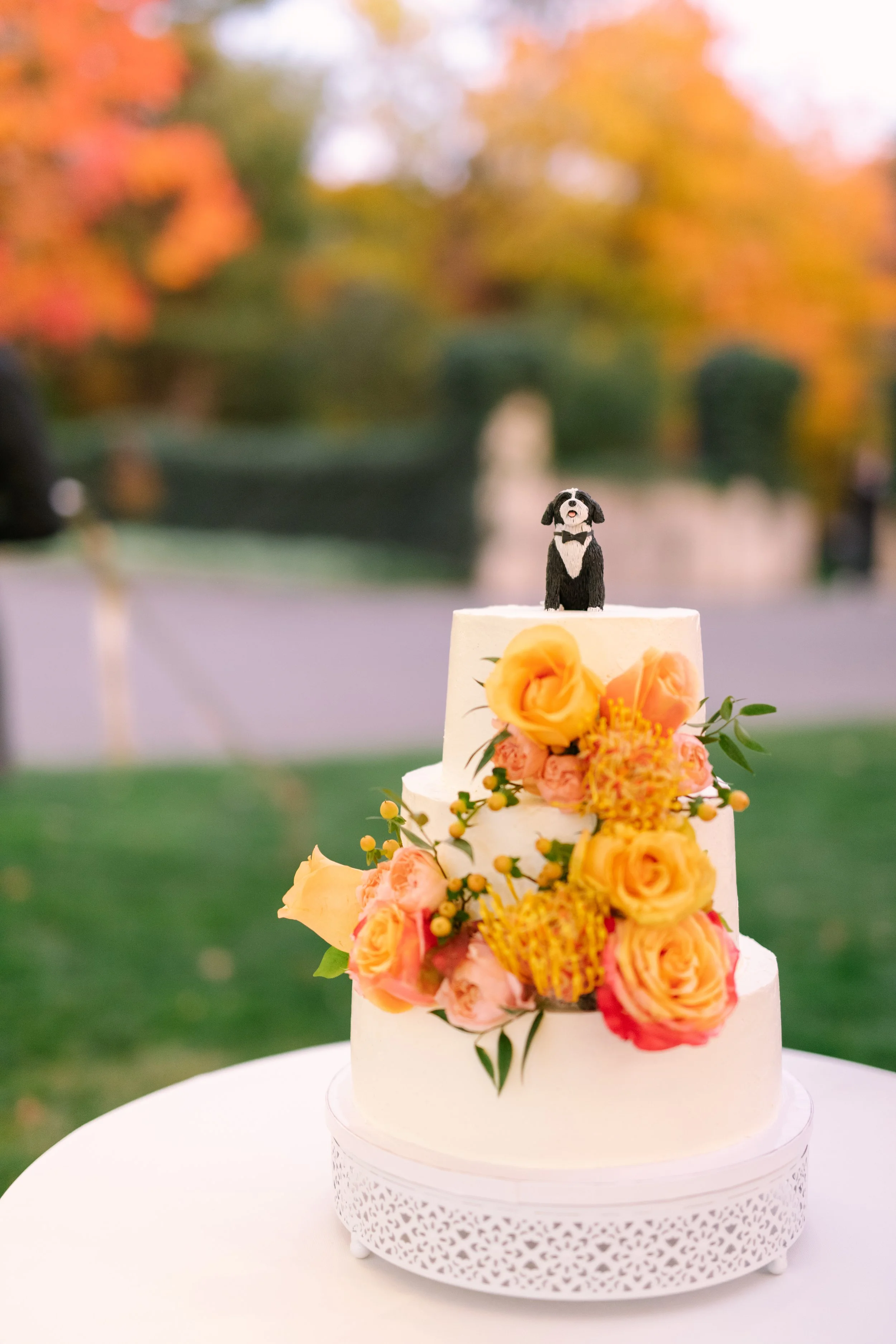 Rushmore Estate Weddings - Björn VW Events