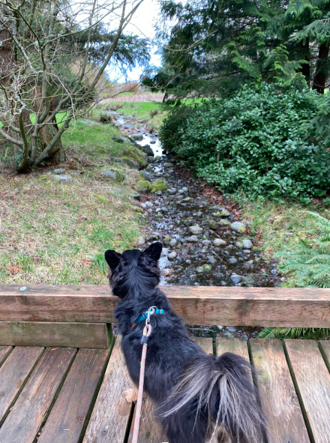 From the Farmhouse Table: March 2026