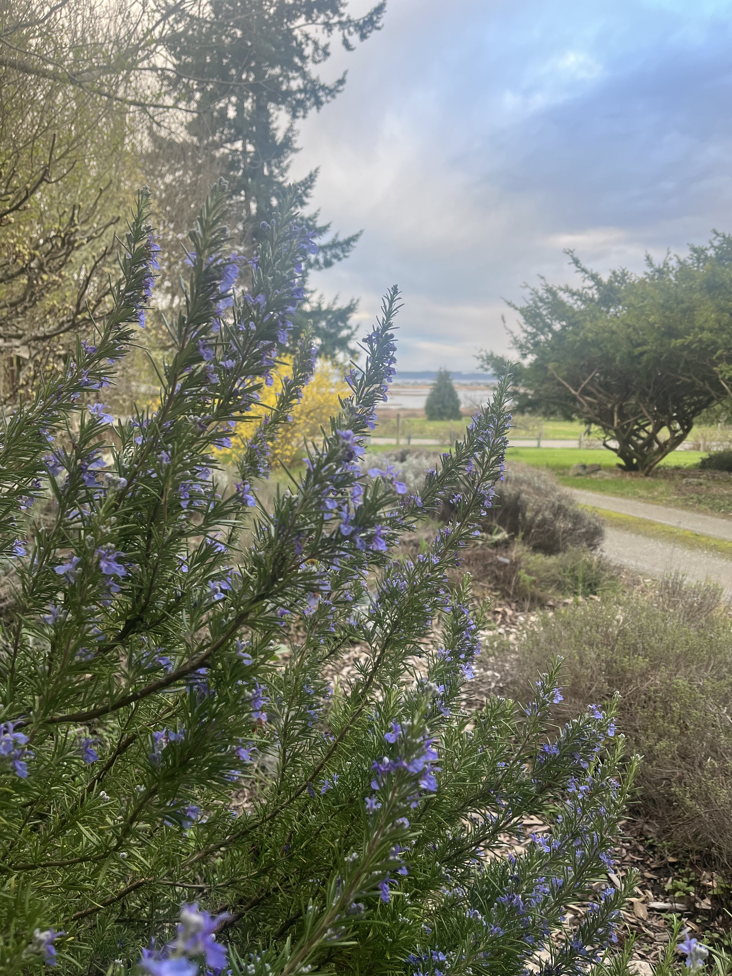 From the Farmhouse Table: April 2026