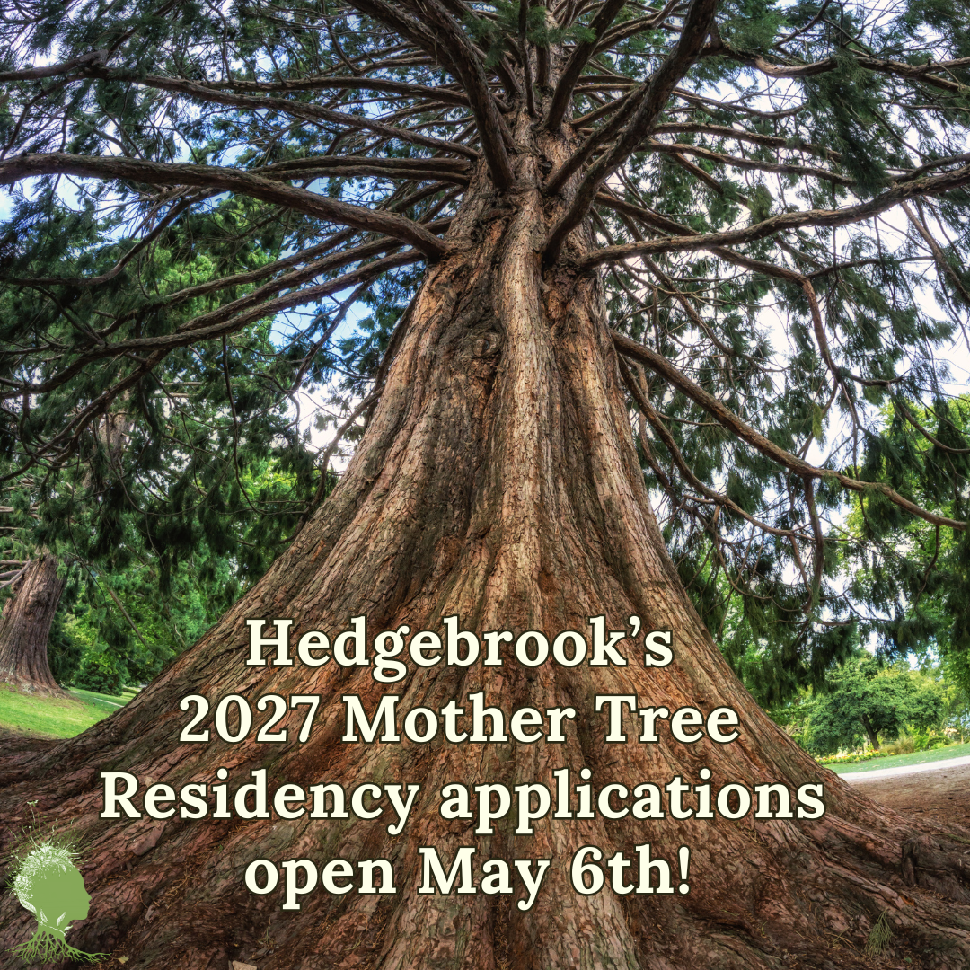 Mother Tree Residency applications open