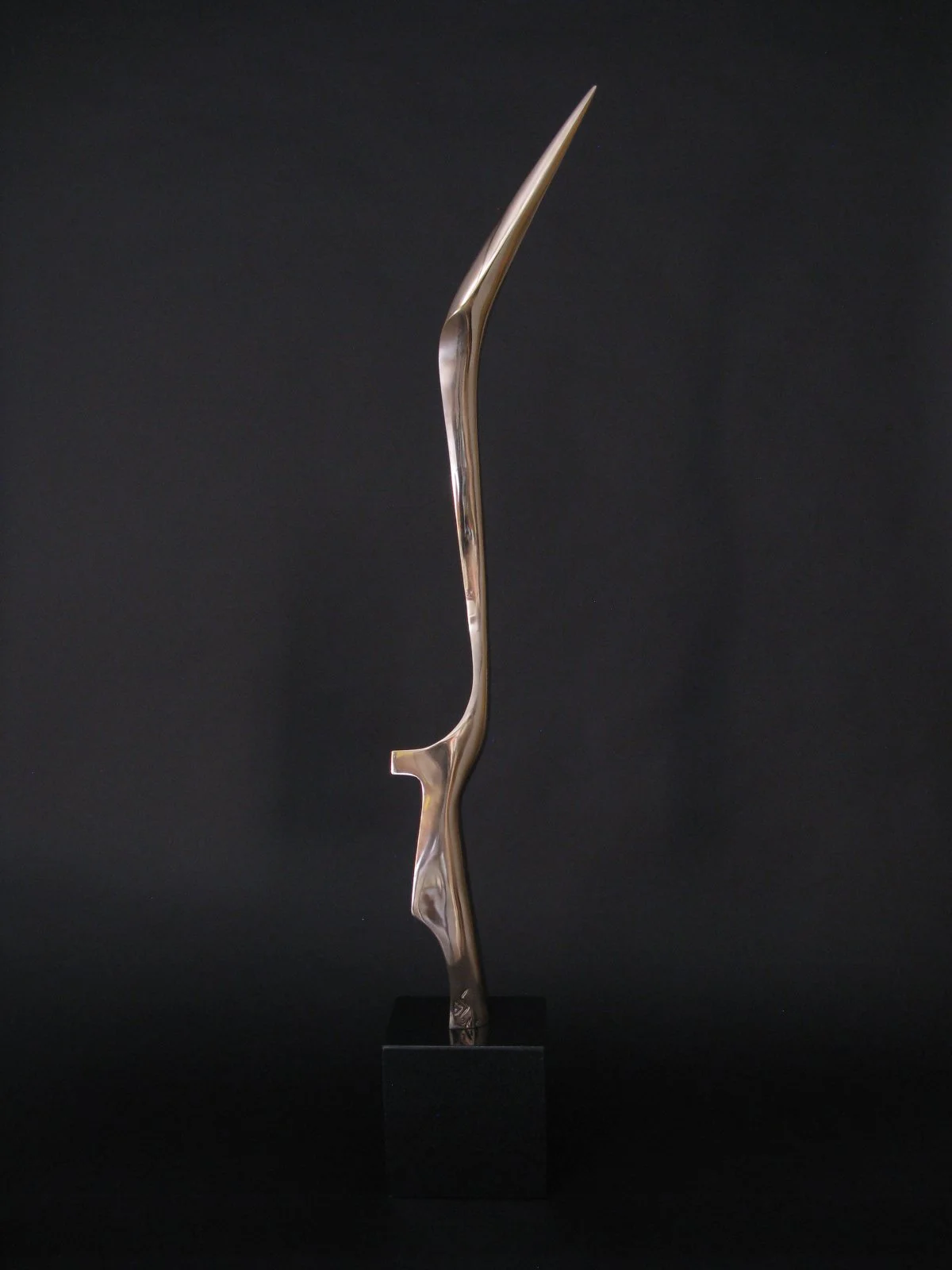 Endangered Grace by Dennis Sohocki
