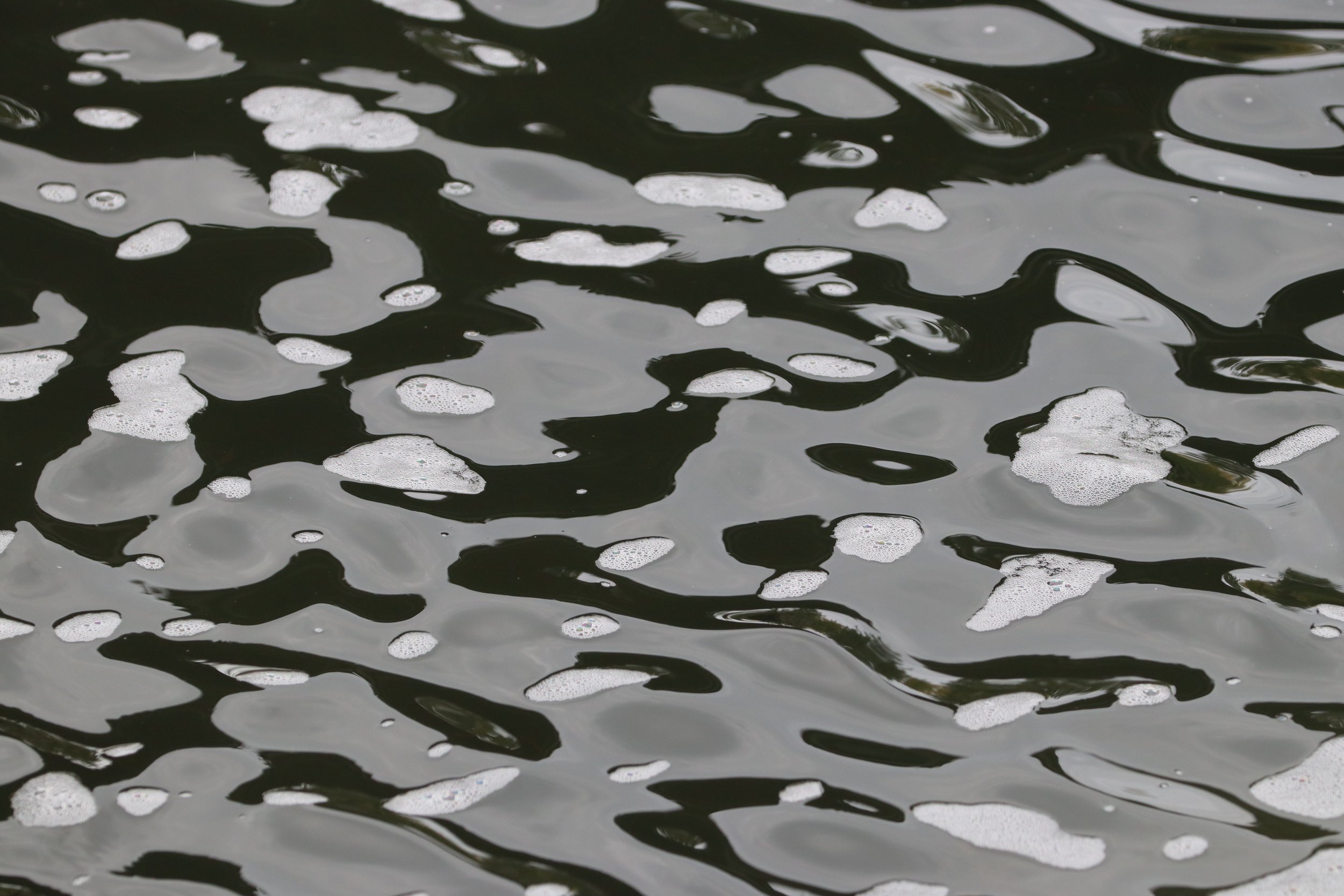 "Surface" by Talitha May