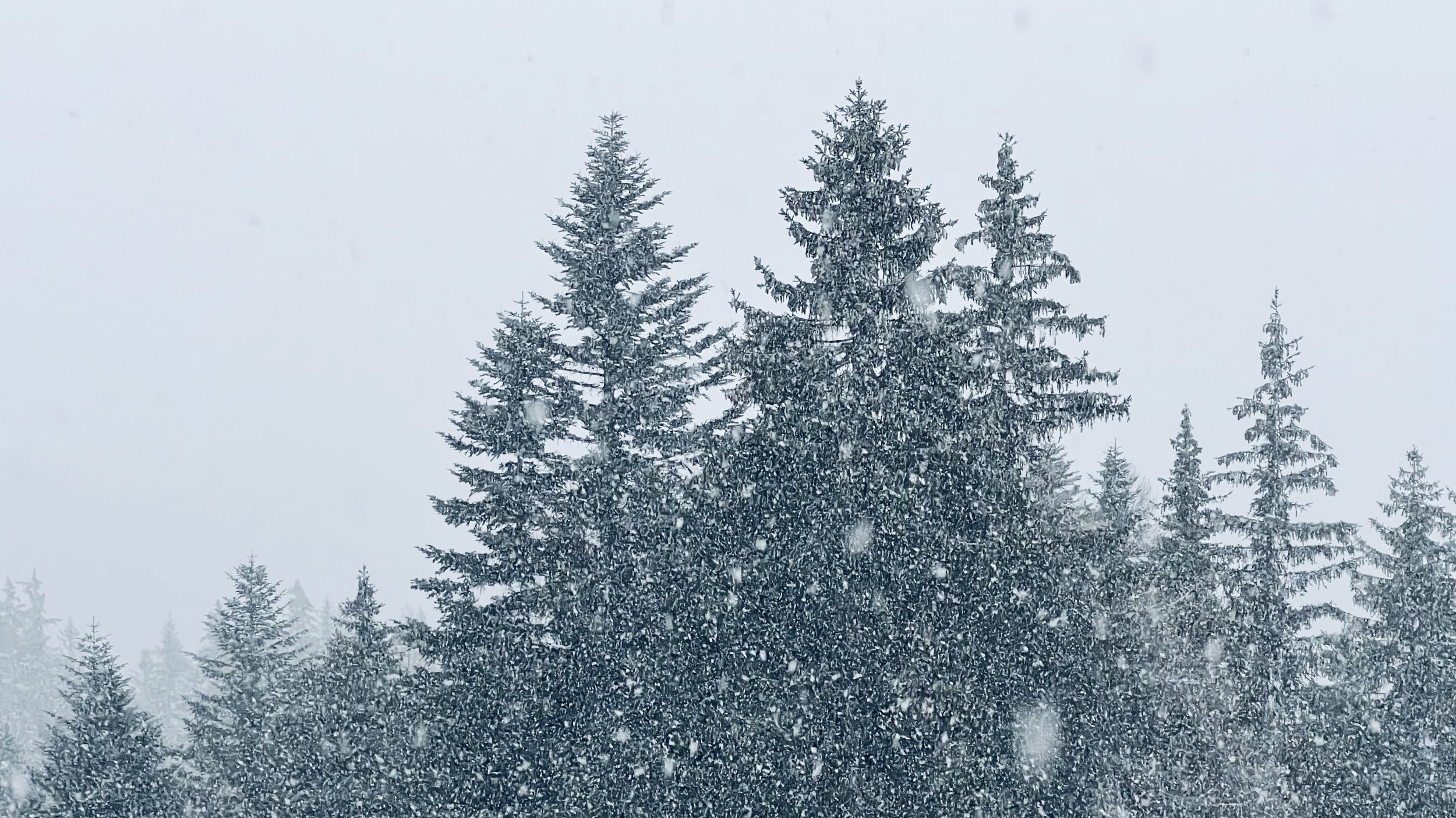 "It's Snowing" by Brigitte B. Burckhardt