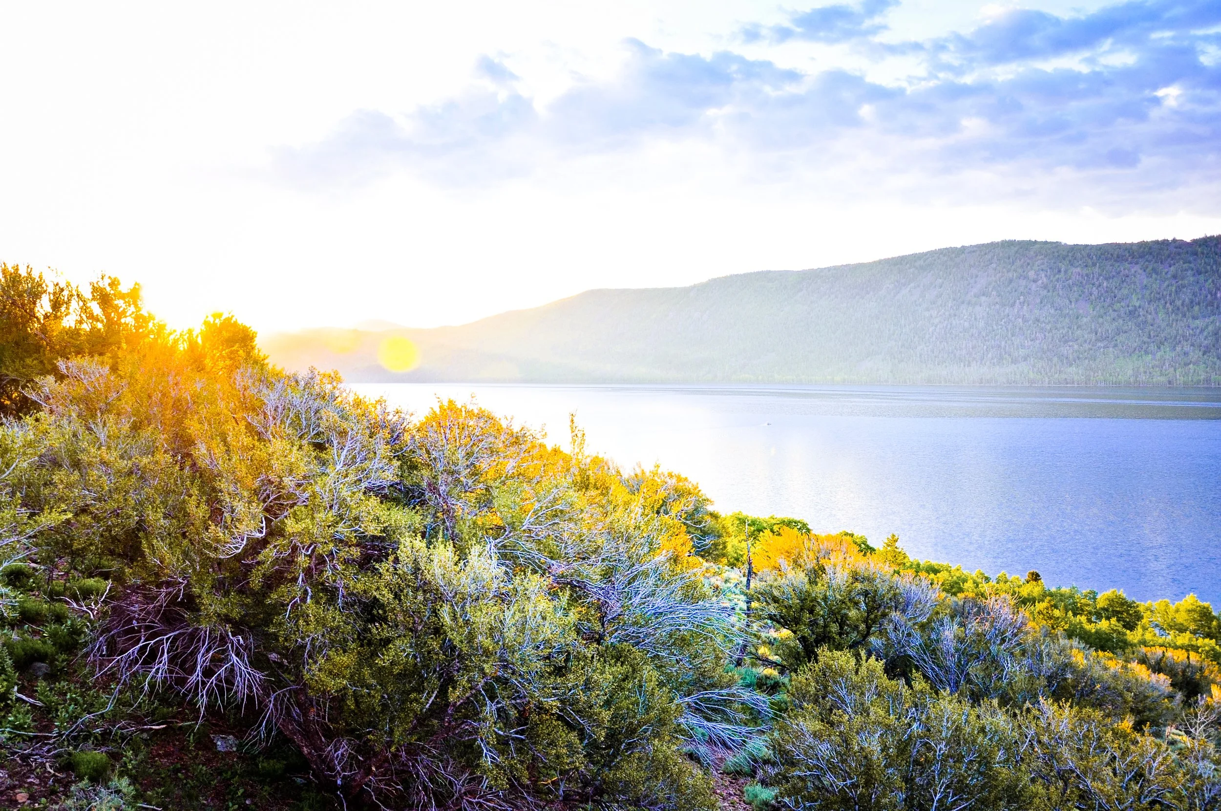 "Sagebrush Sunset" by Lauren Madsen