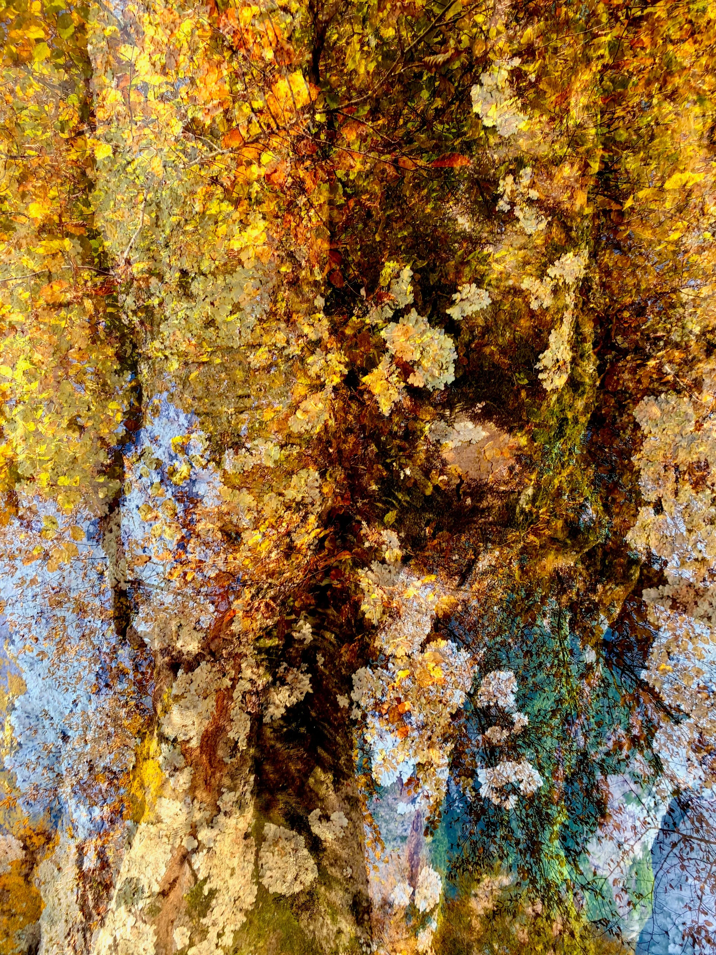 "A Symphony of Leaves I" by Karin Wegmann