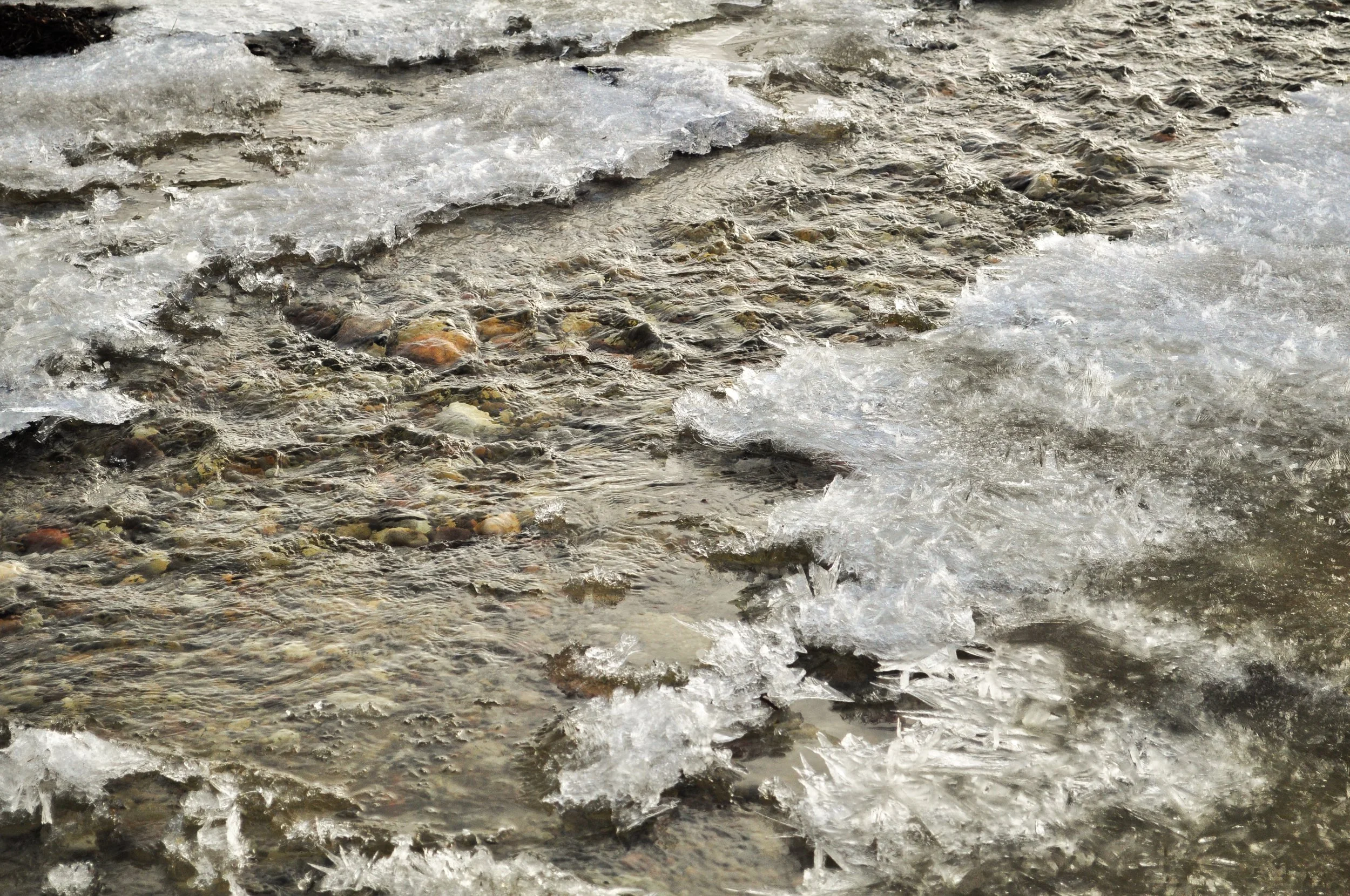 "Vesterlyng" by Sarah Hewitt