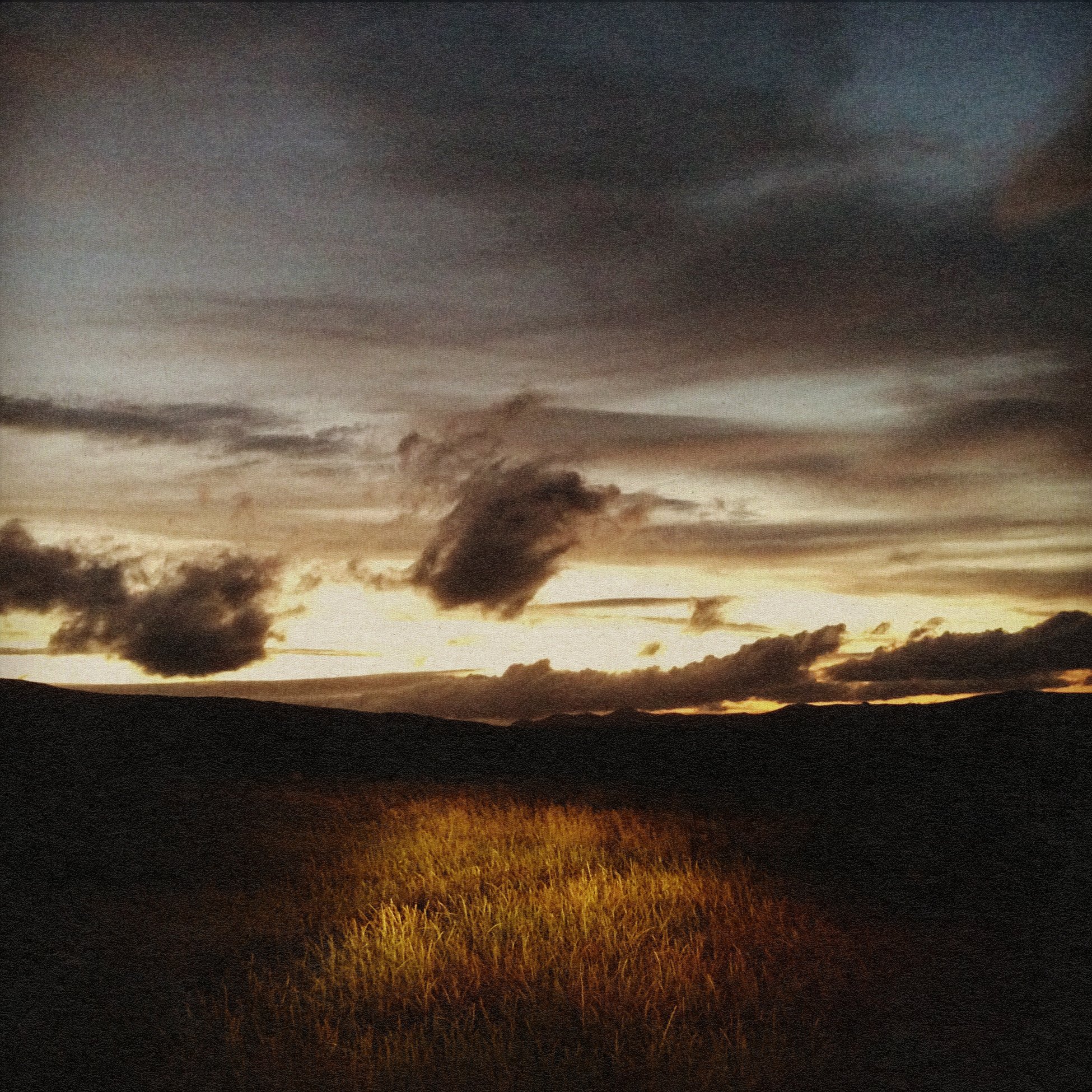 "Winter Light" by Lee-Anne Schmidt