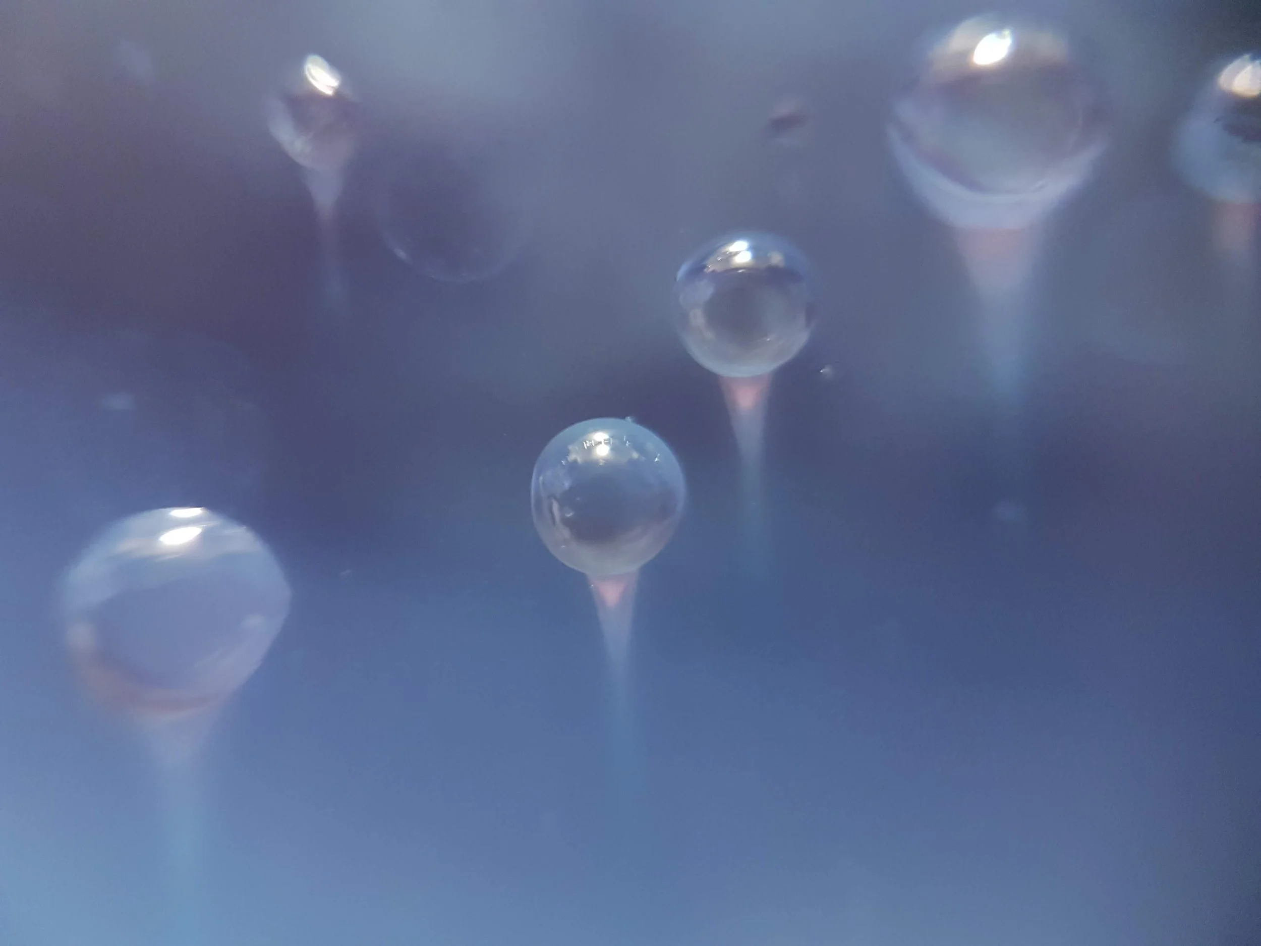 "Frozen Transit" by Carol Haynes