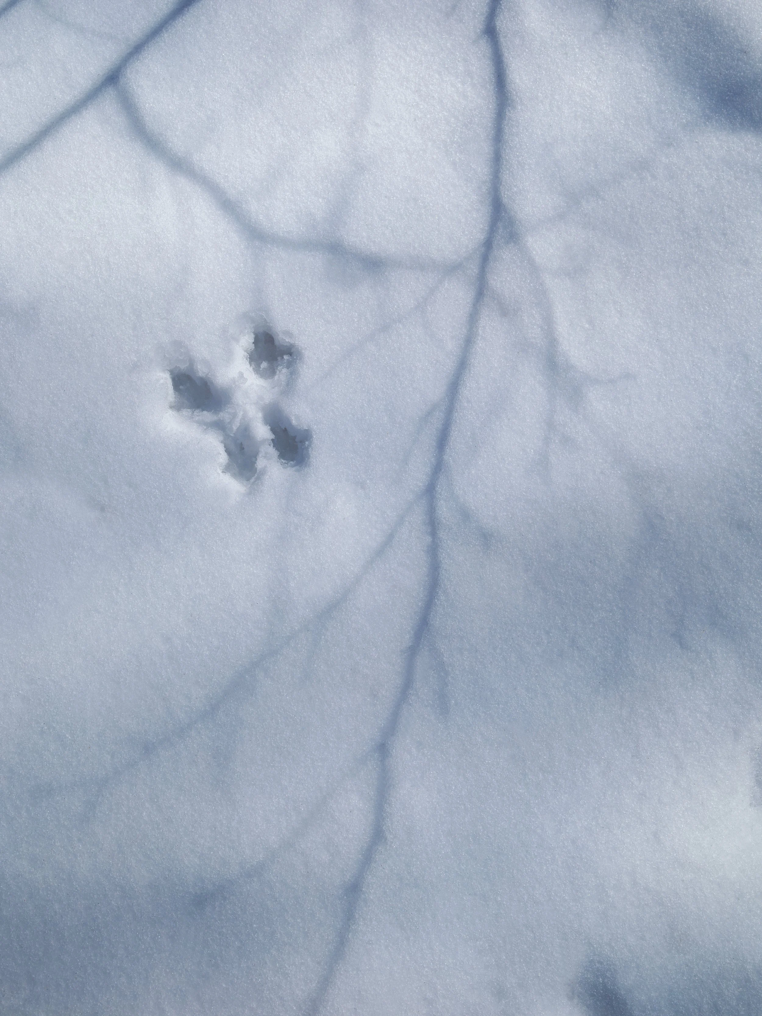 "Signs of Life" by Brooke Ryan