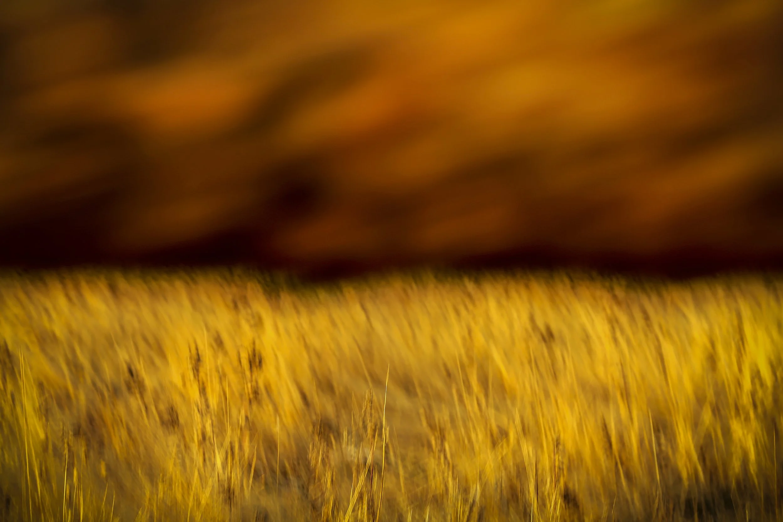"Marmalade Sky" by Najib Joe Hakim