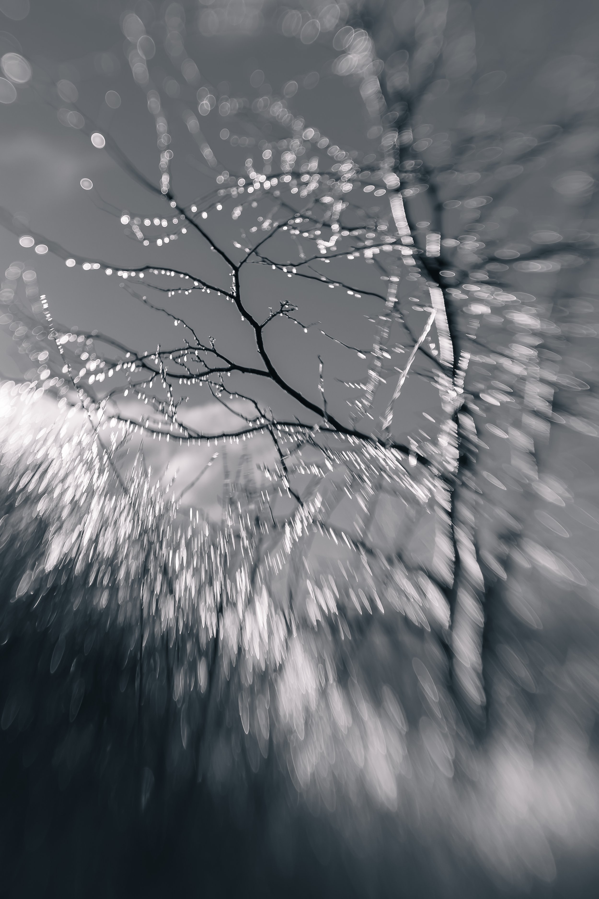 "In Ellipse VII" by Vanessa Pejovic