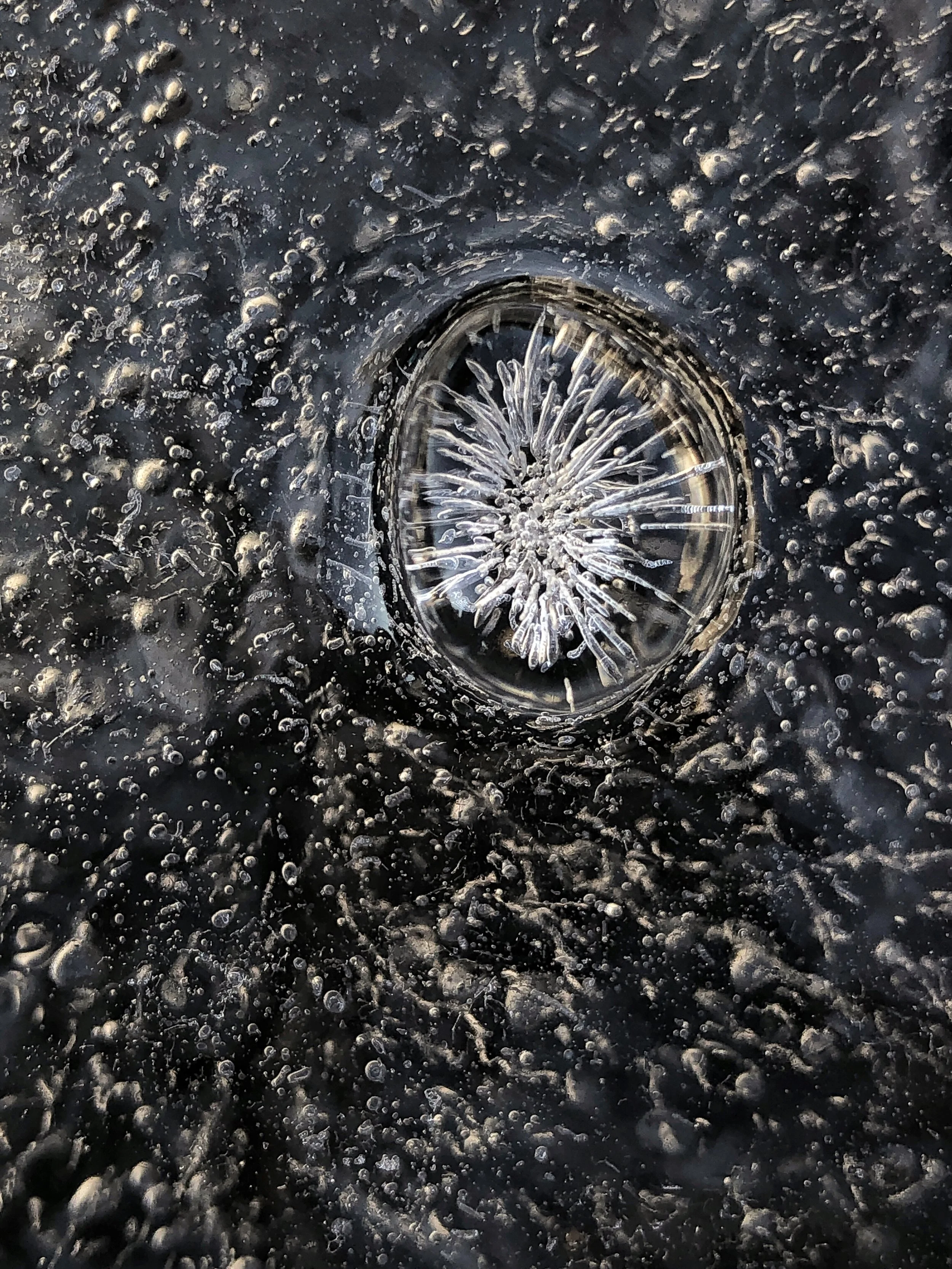 "Frozen" by Caroline Brown