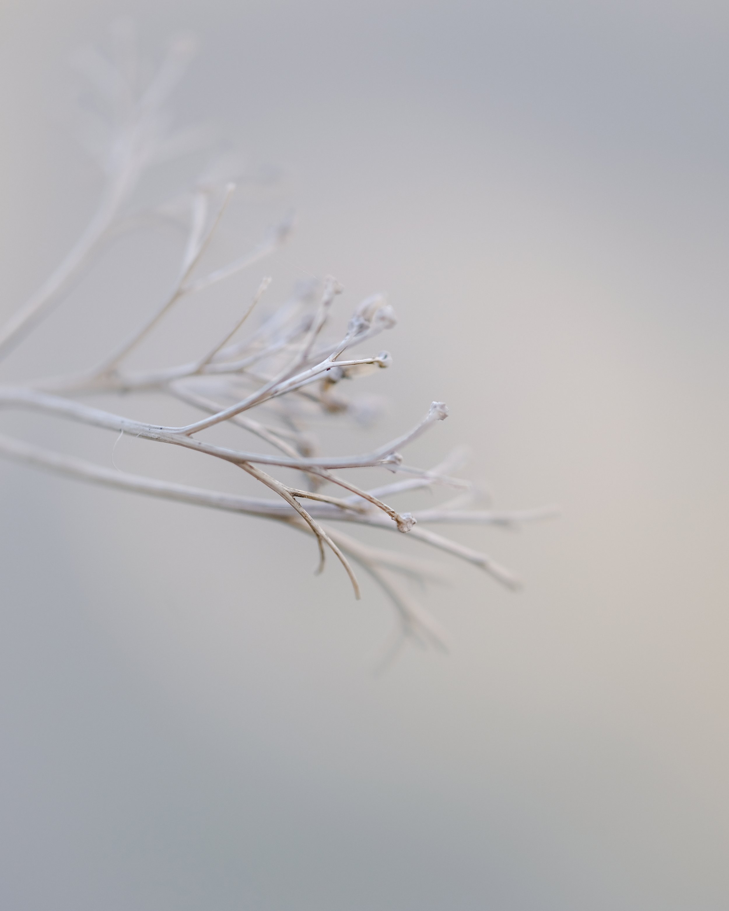 "Longing" by Rose-Marie Keller-Flaig