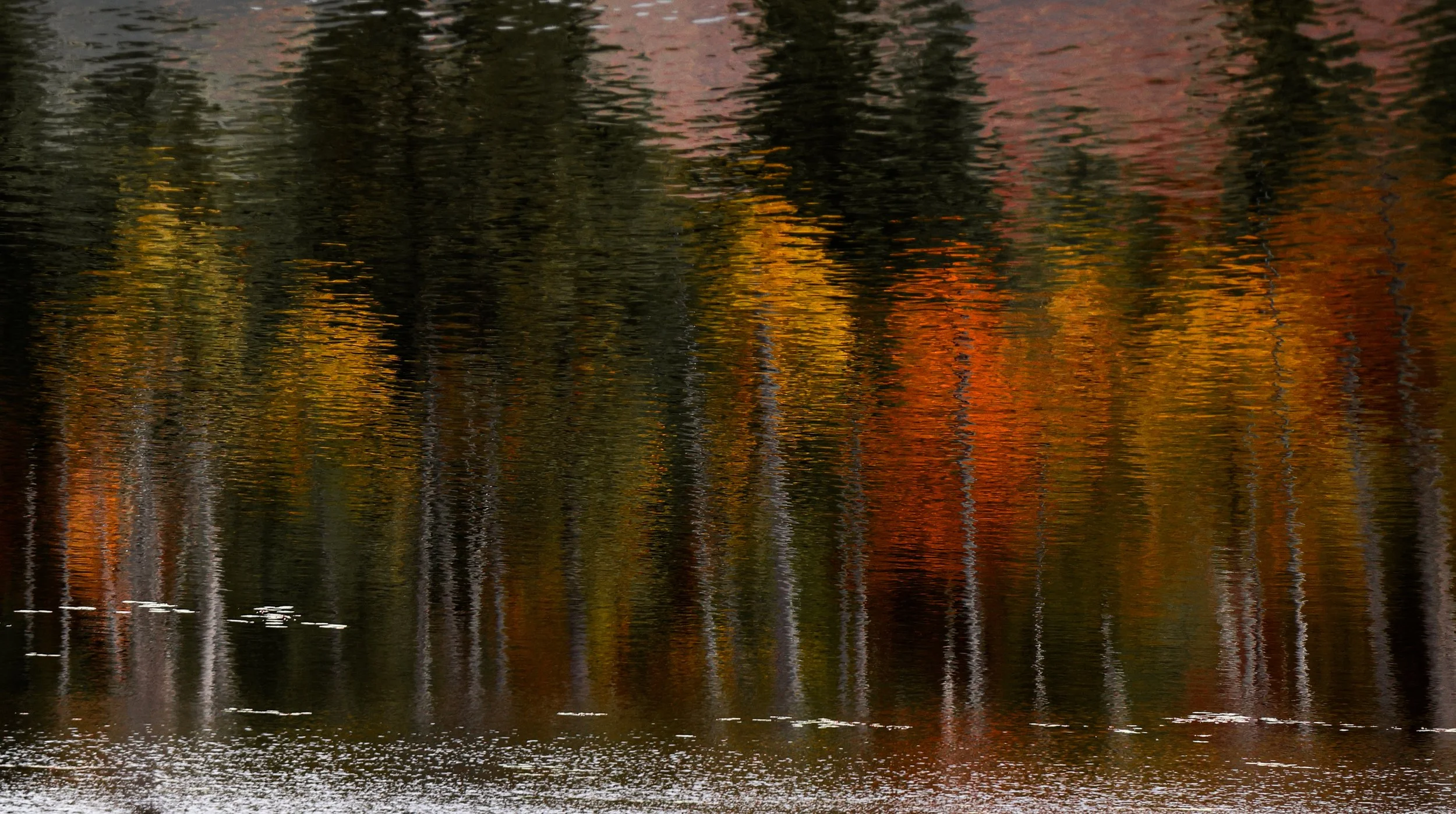 "Fall Reflections" by Heidi Spitzig