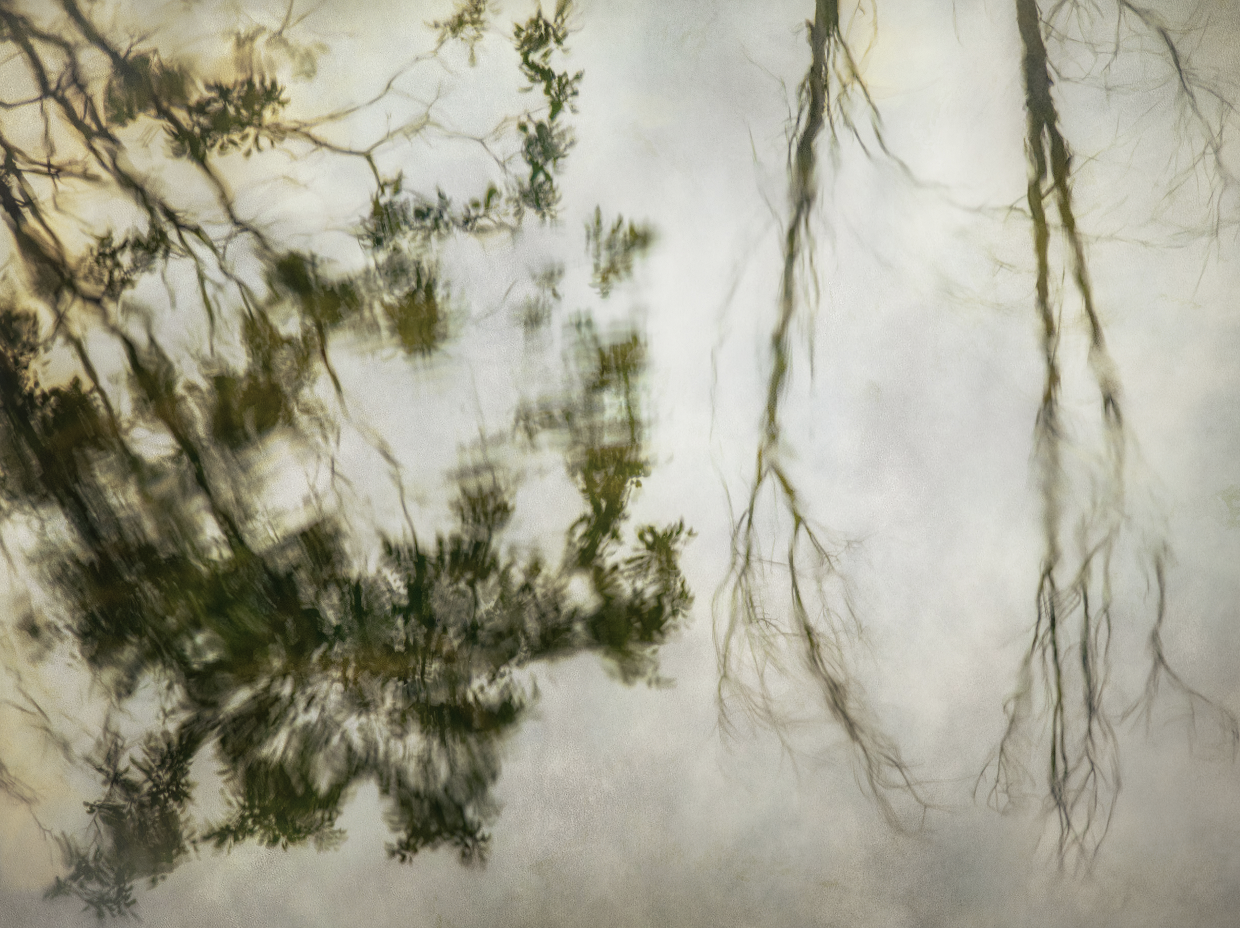 "Reverie" by Brooke Ryan
