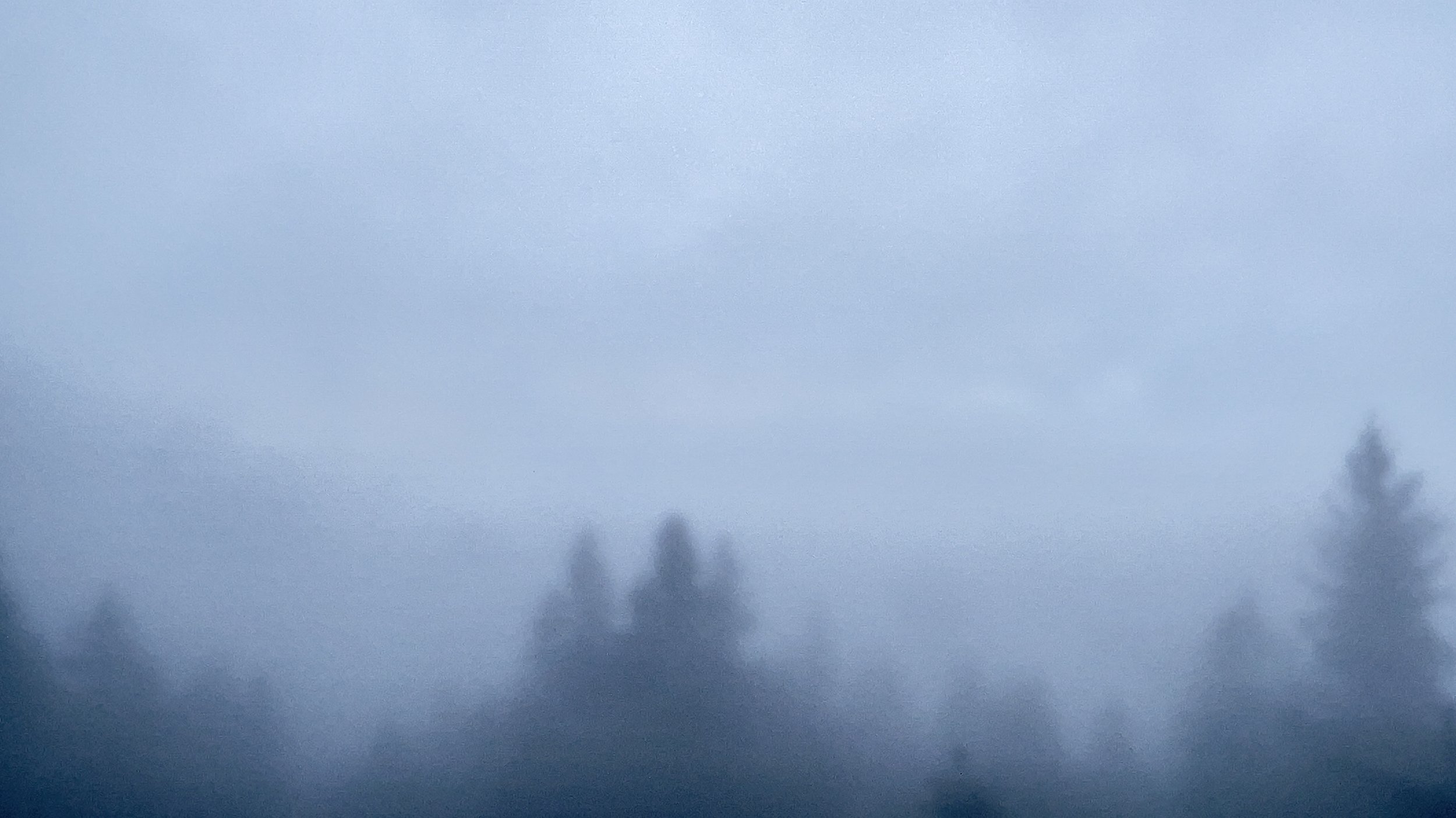 "Winter Fog" by Brigitte B. Burckhardt