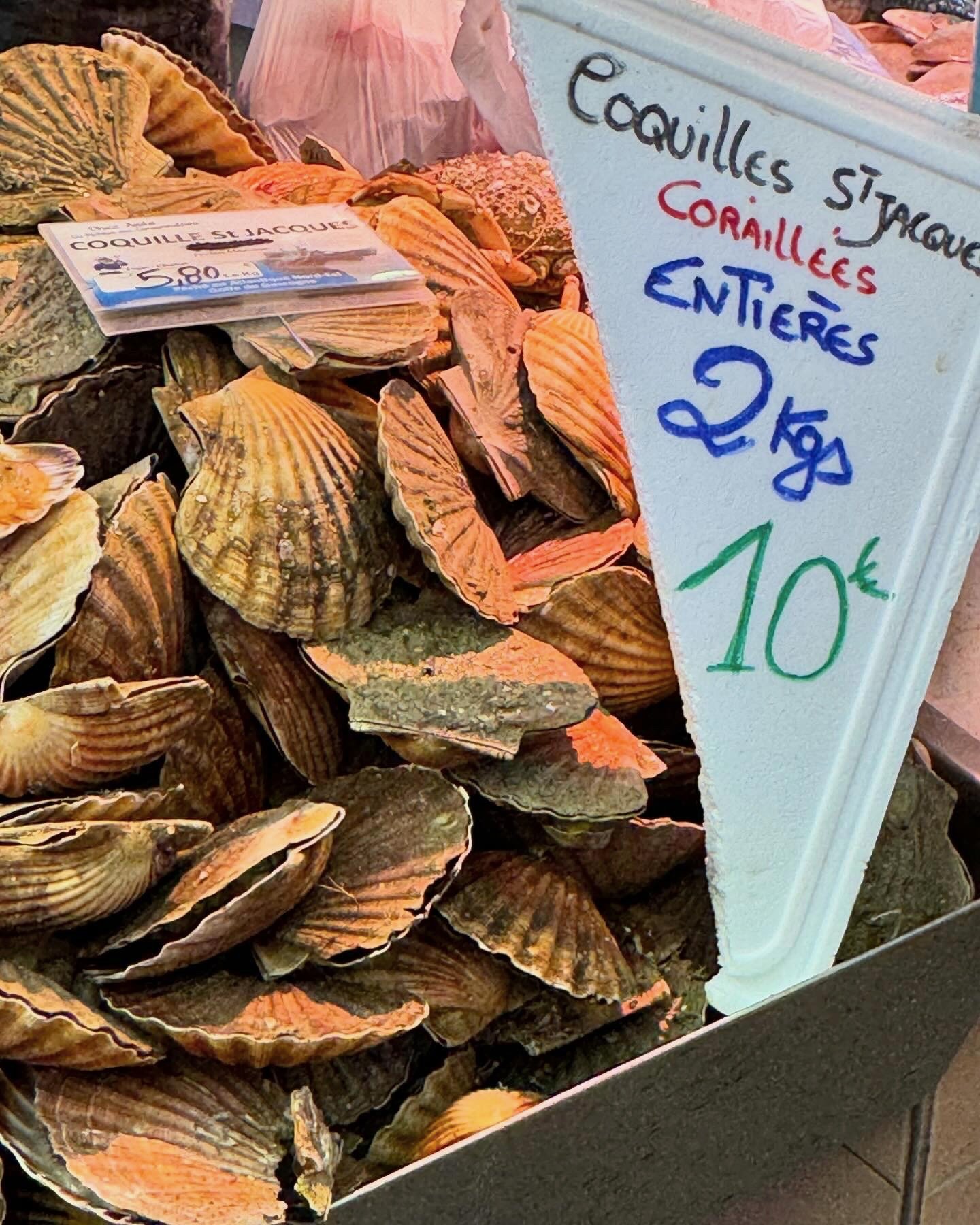 Frankrijk 2024 L' Ostreal - 10.jpeg