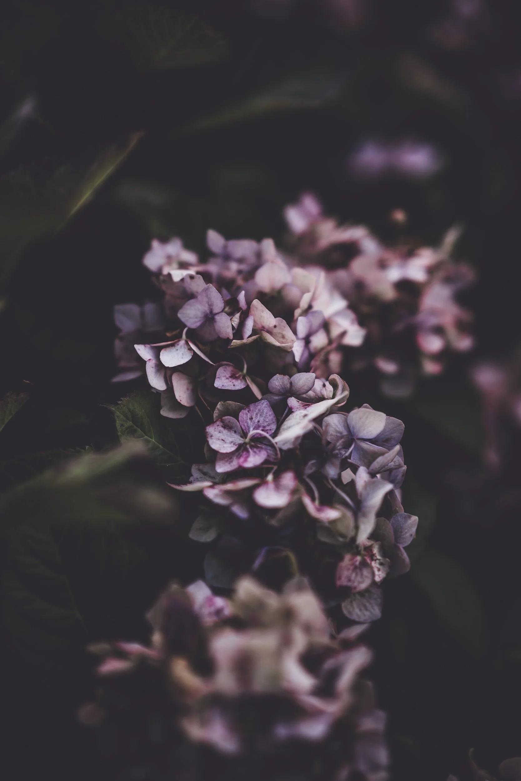 unsplash-image-5OmahOOZZzI.jpg