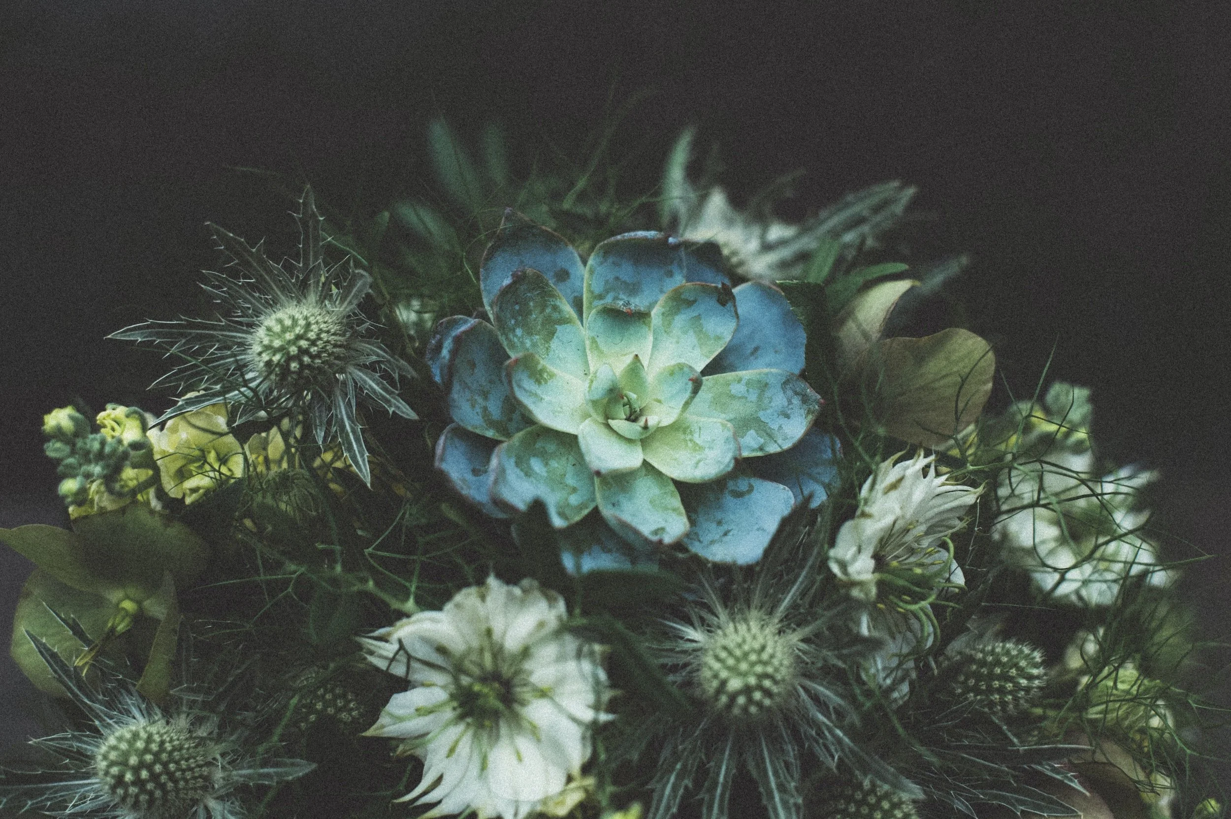 unsplash-image-77ADI-o3plY.jpg