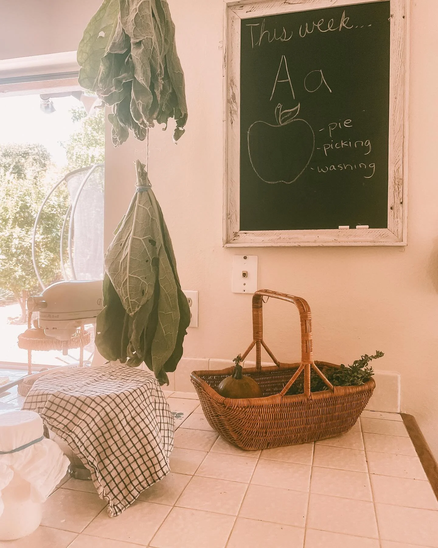 The truth is, every time I take a break from social media it&rsquo;s SO HARD to get myself to come back to it. 

Another break from social media gave me the gift of time:

- to read 📚 
- in nature 
- to get into a homeschooling routine
- harvesting 