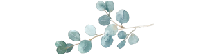Eucalyptus.png