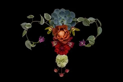 How does our Female Pelvis influence our Work?