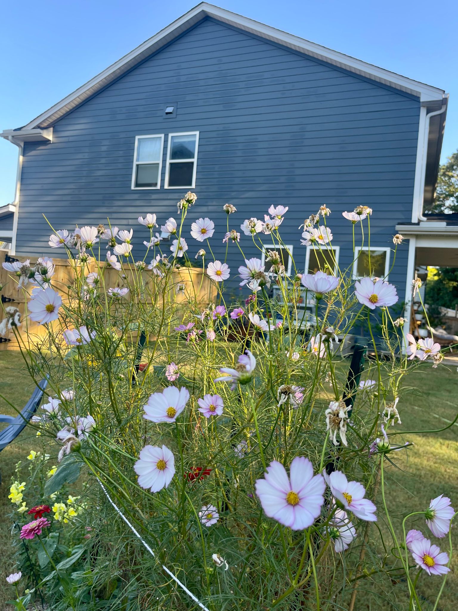 View of a house with blue siding and white trim, with pink and white flowers in a garden in the foreground under a clear blue sky.