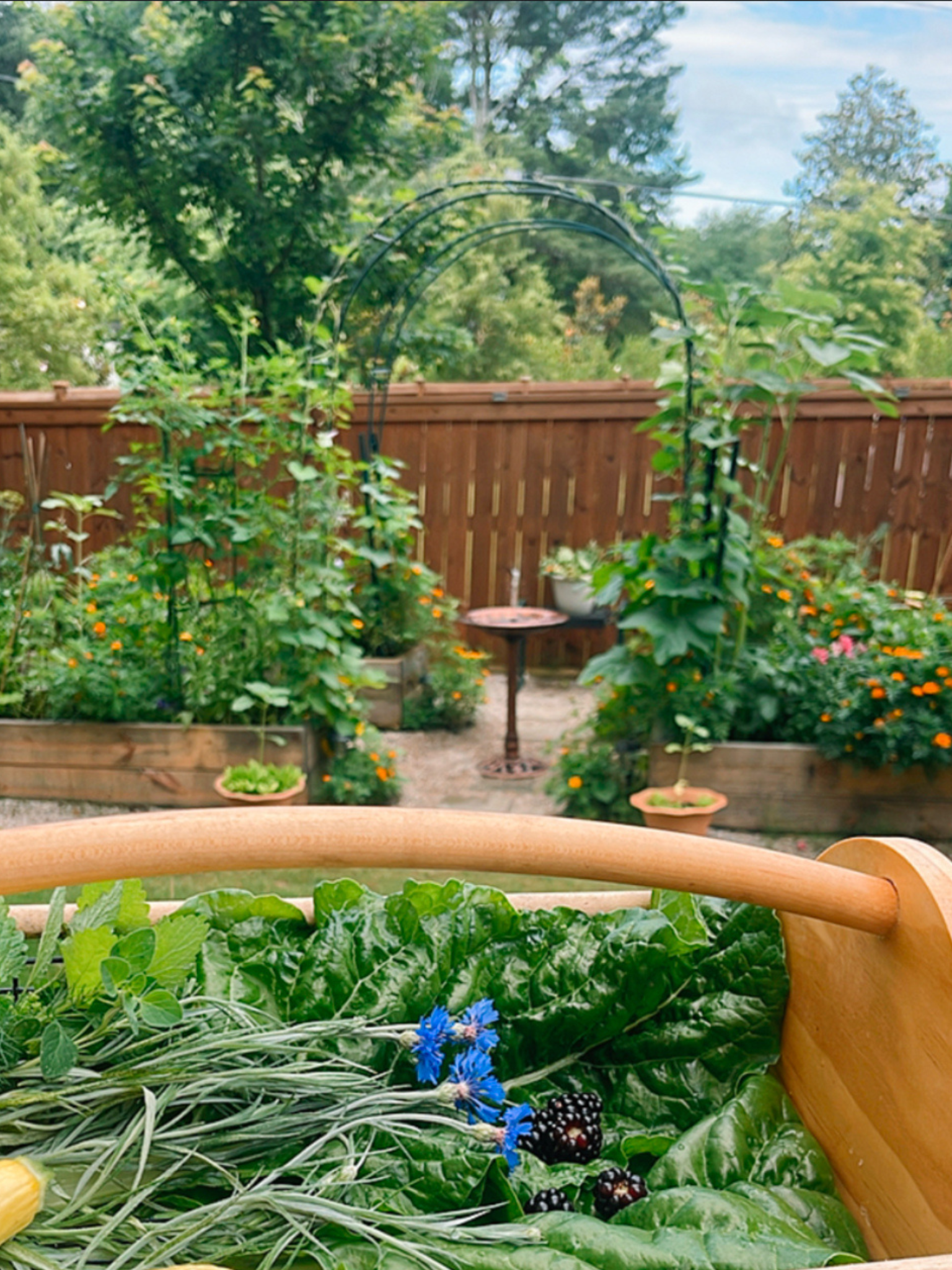 A backyard garden with a wooden fence, lush green trees, and various plants including leafy greens, herbs, and flowering plants, with a garden arch and garden accessories.