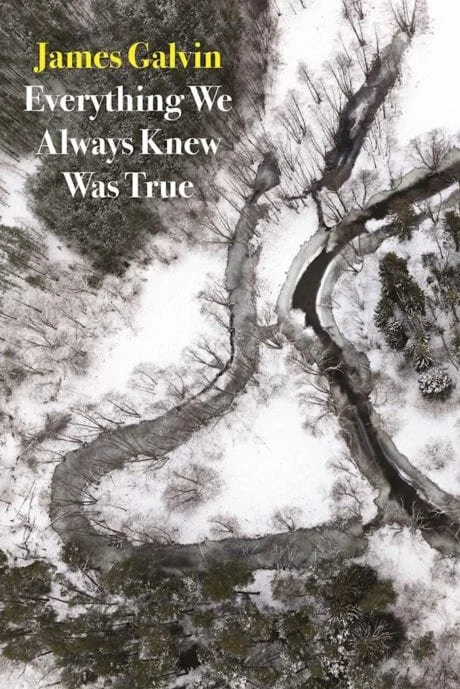 james-galvin-everything-we-always-knew-was-true.jpg
