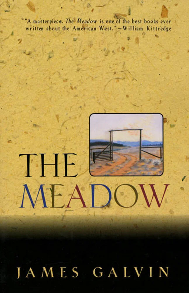 james-galvin-the-meadow.jpg