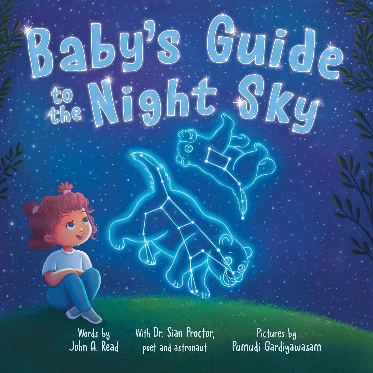 Babys Guide to the Night Sky cover.jpg