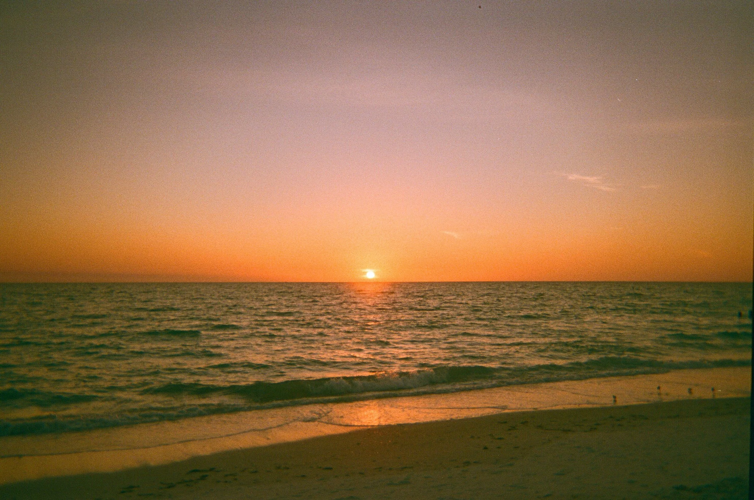 My Bachelorette: Disposable Camera Edition