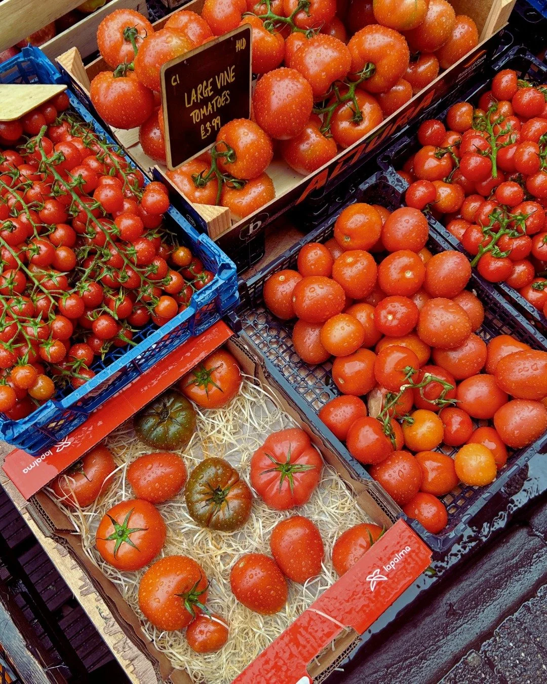 Mid-week Market Day. 

We are local lovers when it comes to producing our grazing platters, snack boxes, and tablescaping. Whether it's picking the prettiest Isle of Wight tomatoes, finding the quirkiest exotic dragon fruit, or even hunting the best 