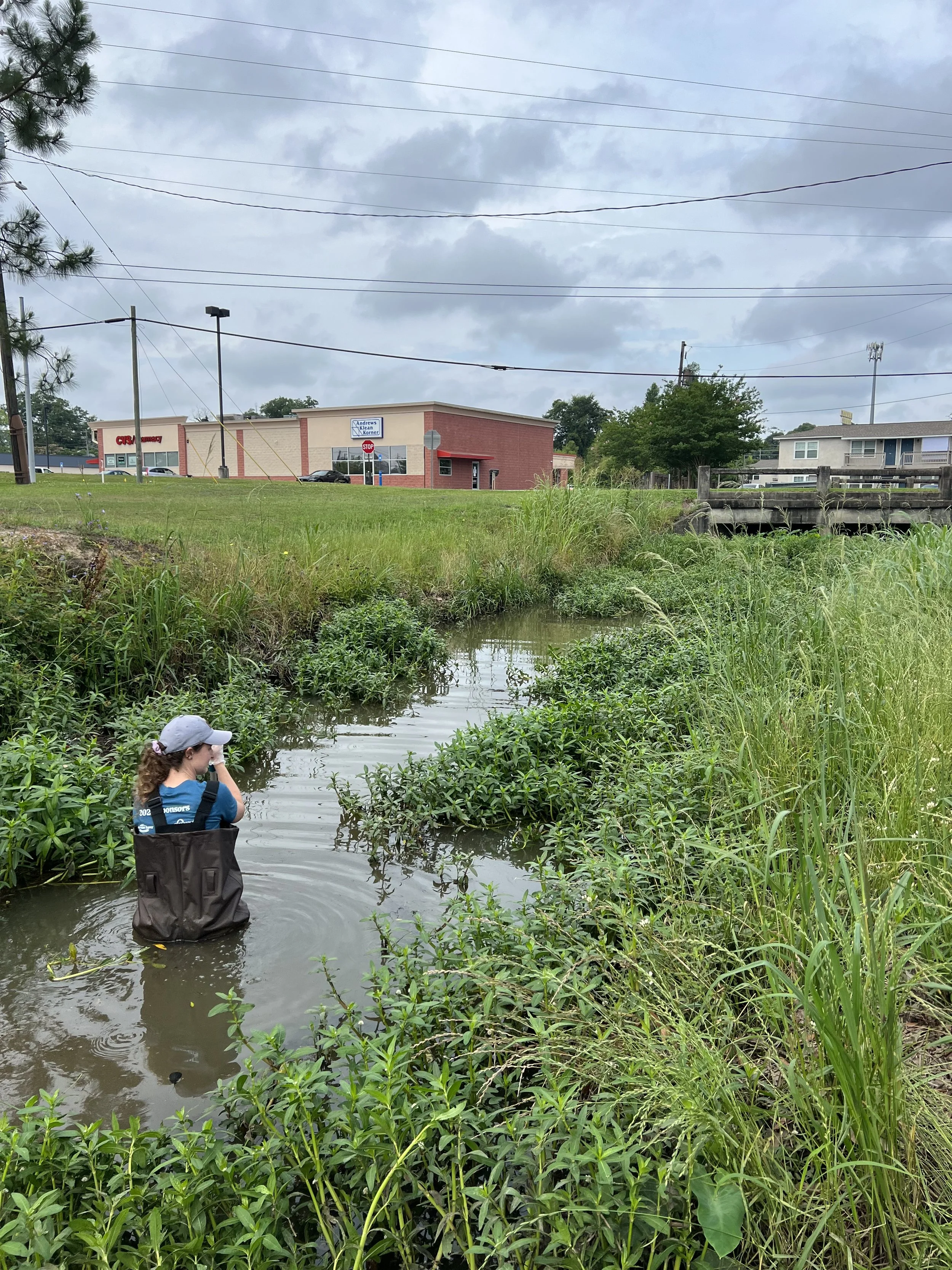 Little Lotts Creek Cleanup (Volunteer Opportunity)