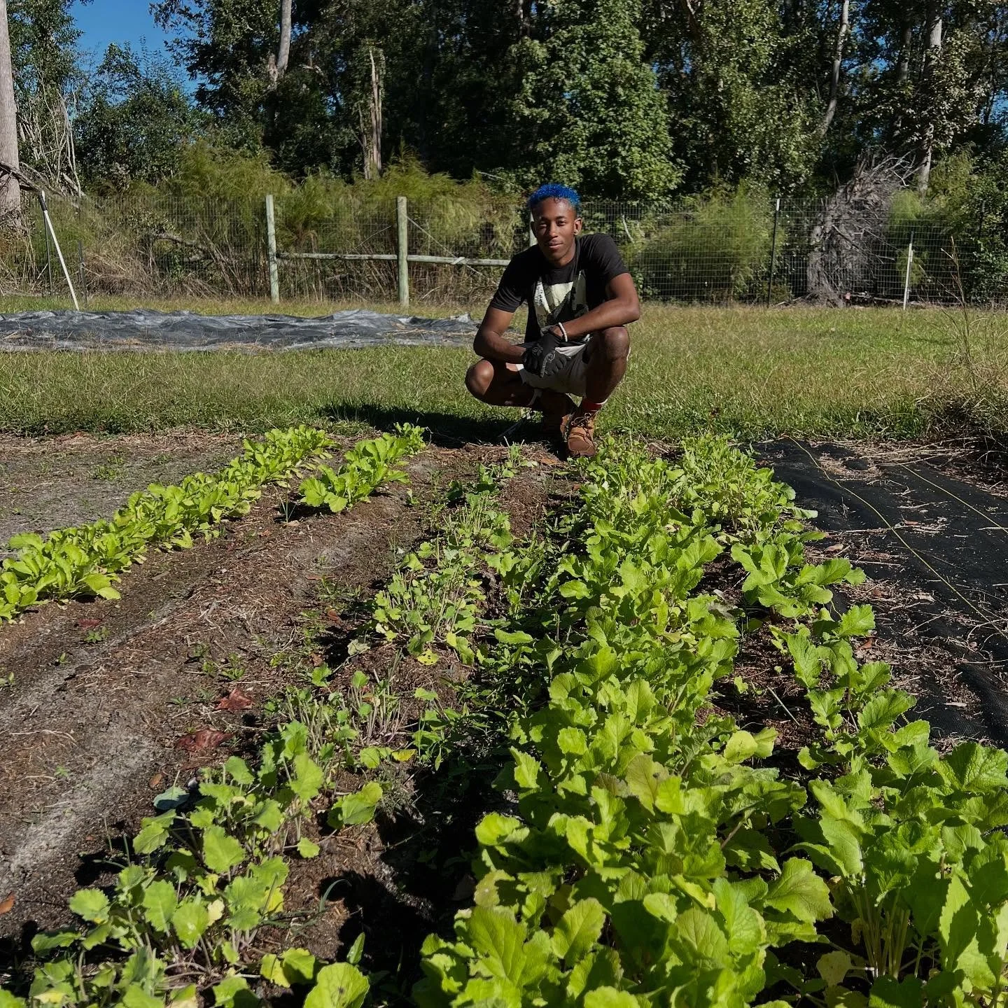 From little seeds grow mighty gardens. Every volunteer makes a difference and has a unique story to share. Come plant, connect, and watch your impact grow at the Statesboro Community Garden!
#fromthegarden #dobeautifulthings #statesboroga
