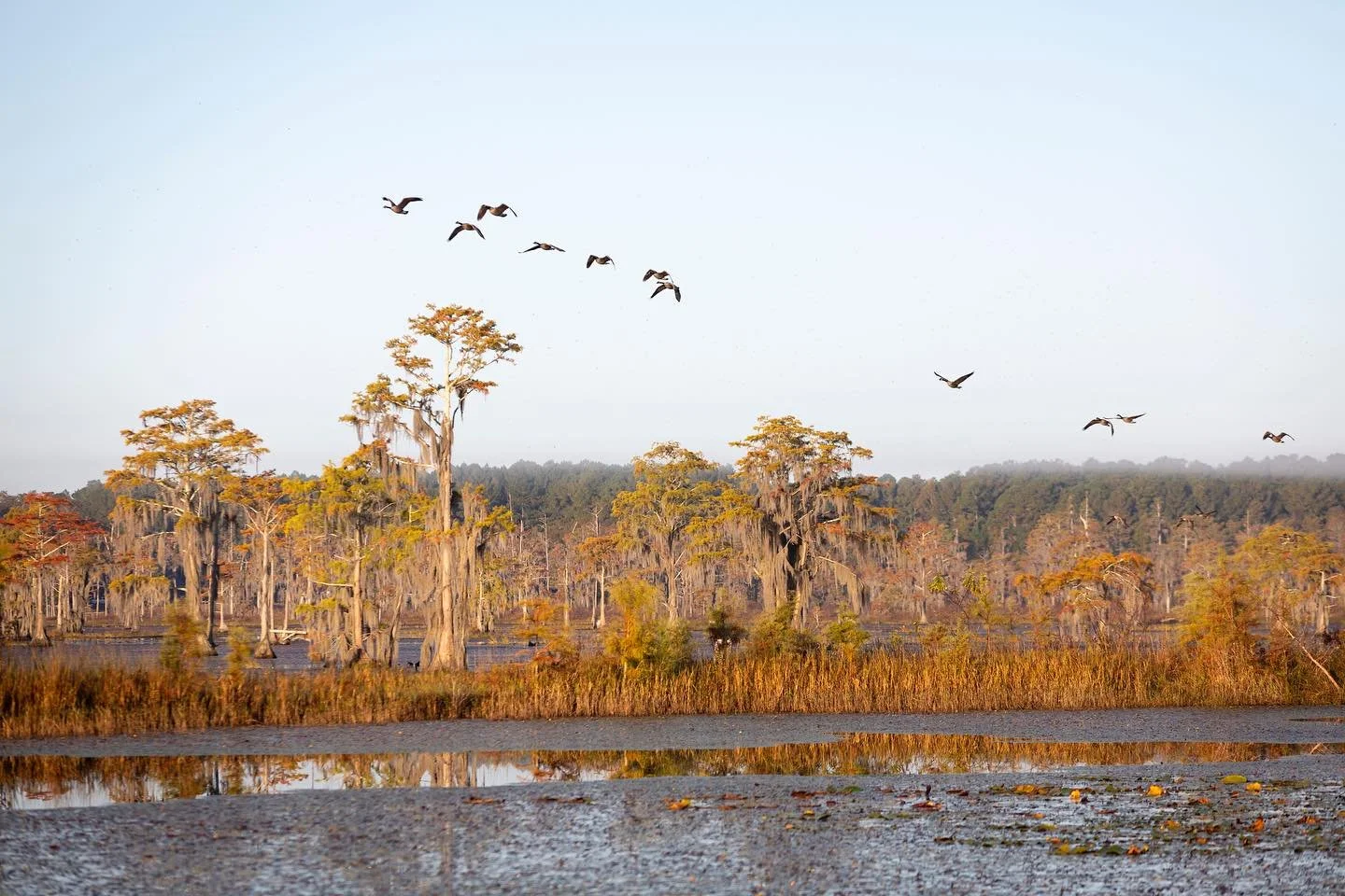 Community Tree Planting 
