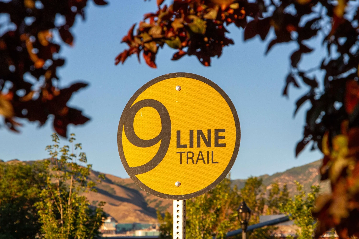Explore the 9 Line Trail! — Sweet Streets