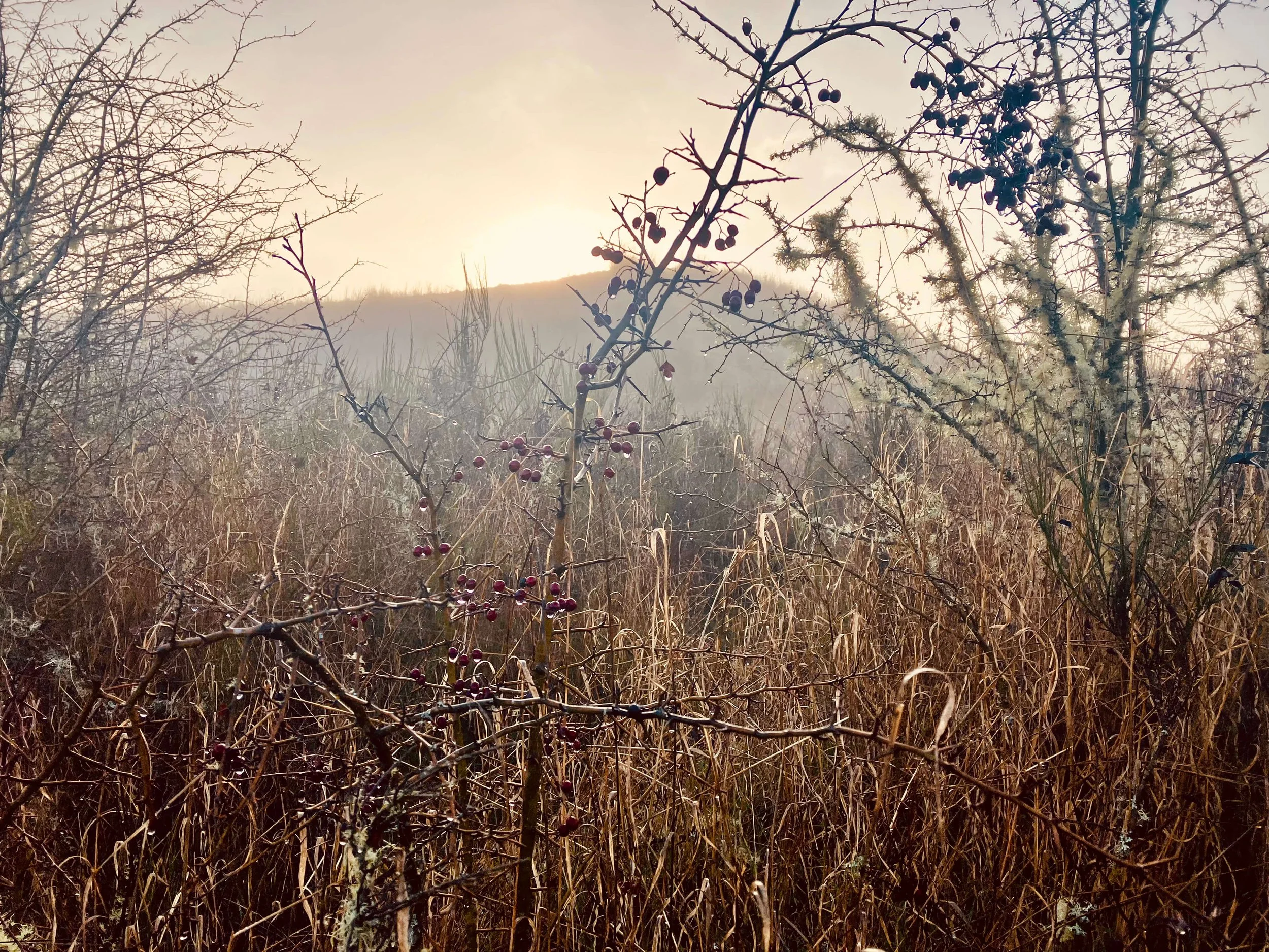 Psychodynamic Therapy: What can I expect?