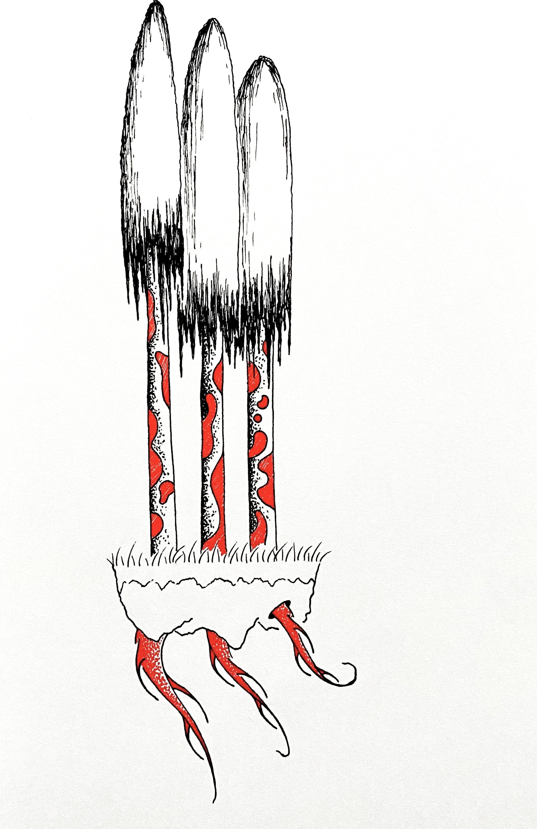 Lava Lamp Tree Island.JPEG