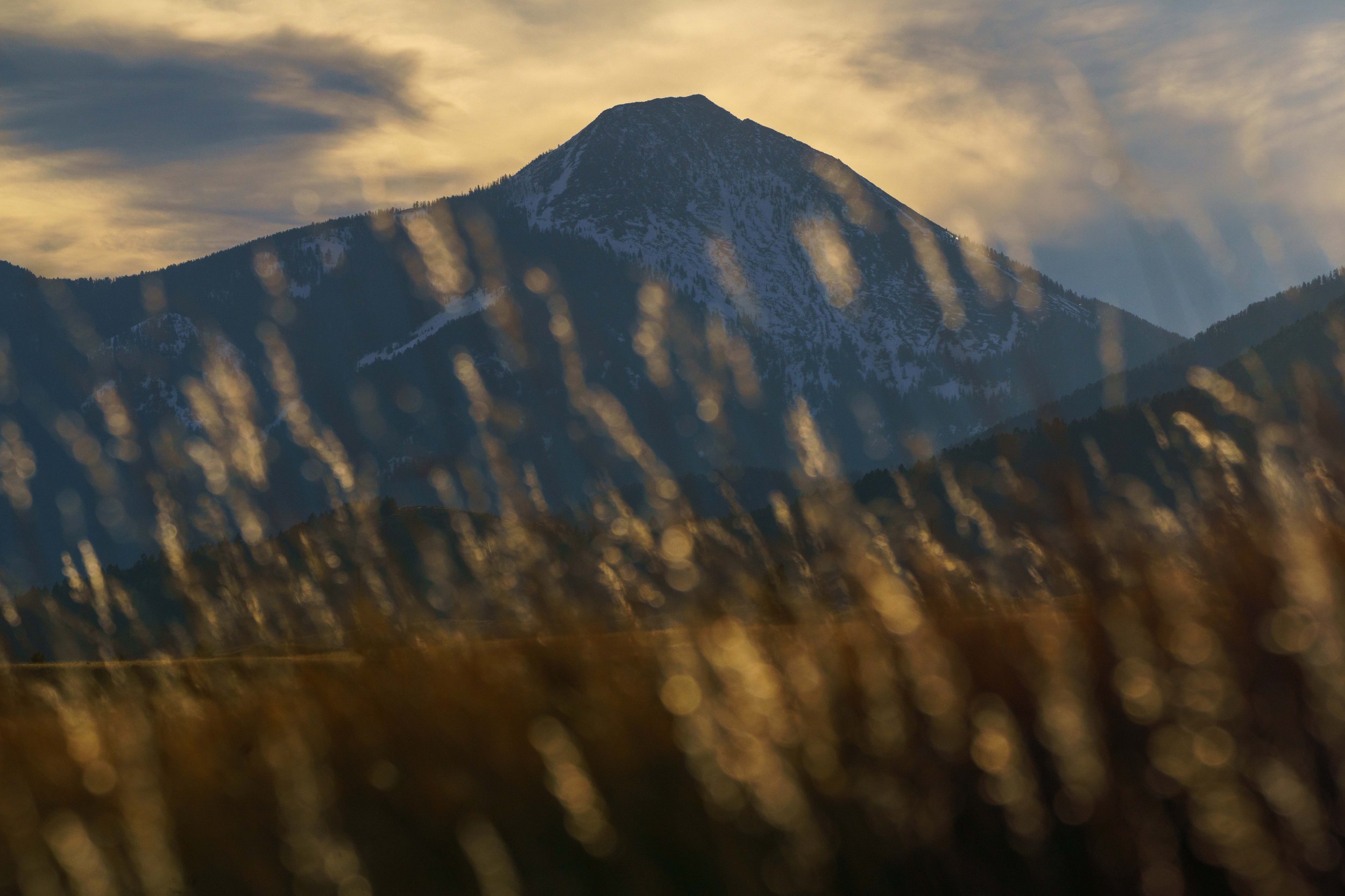 260322ThurlkillSageLodge-33 copy.jpg